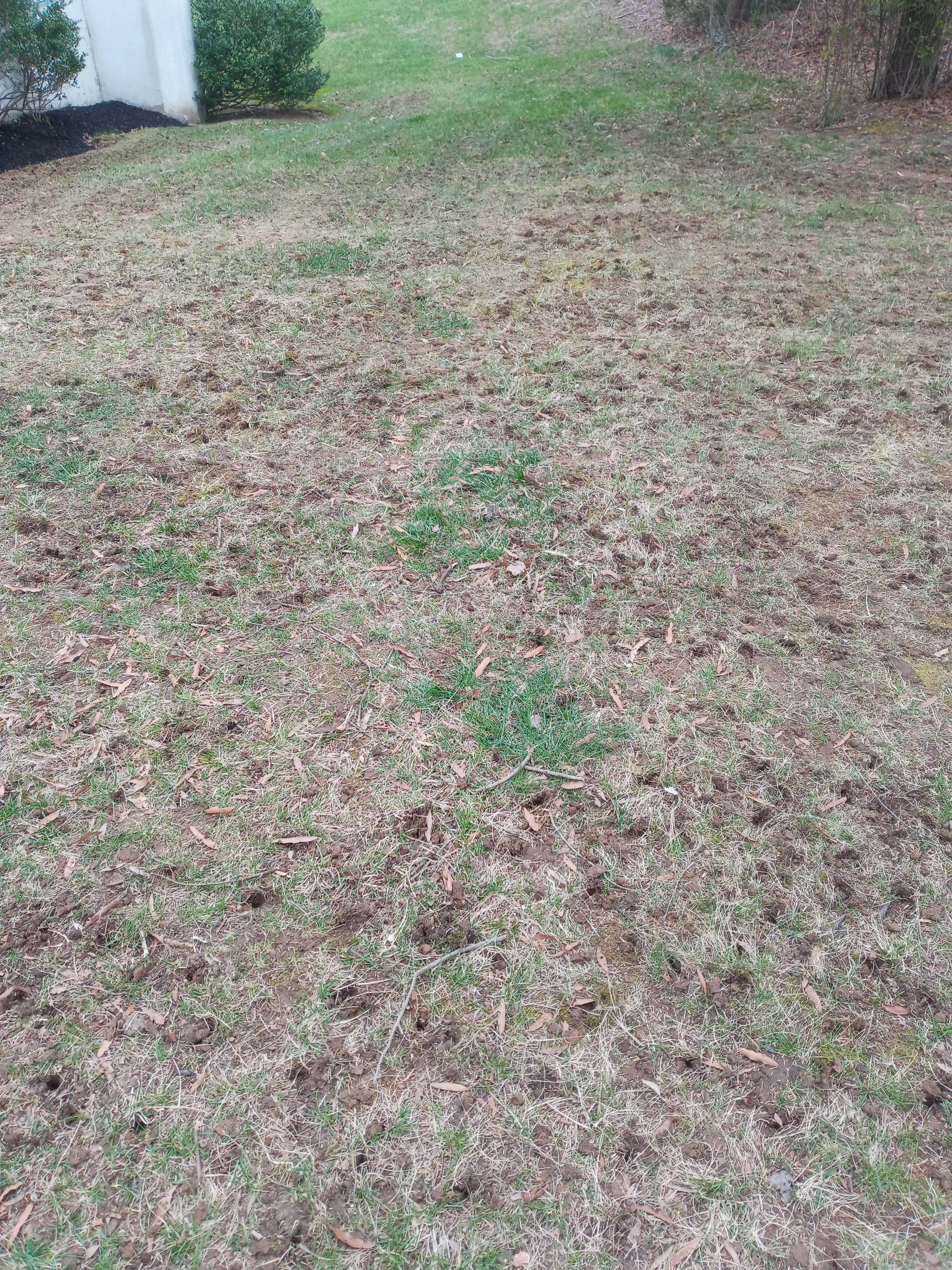  for Sam I AM Property Solutions in Sunderland, MD