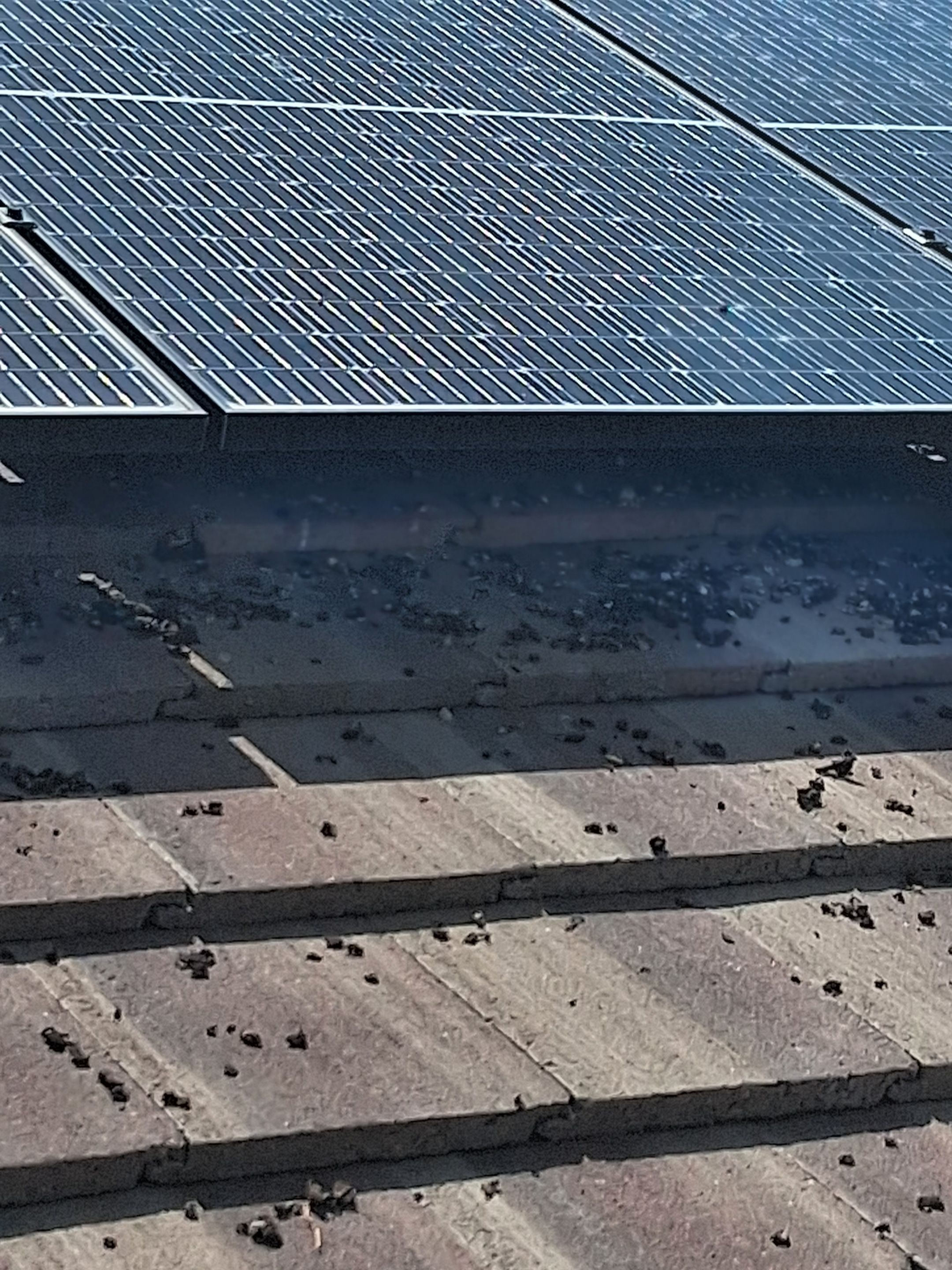  for Olson & Sons Contracting in Mesa, AZ