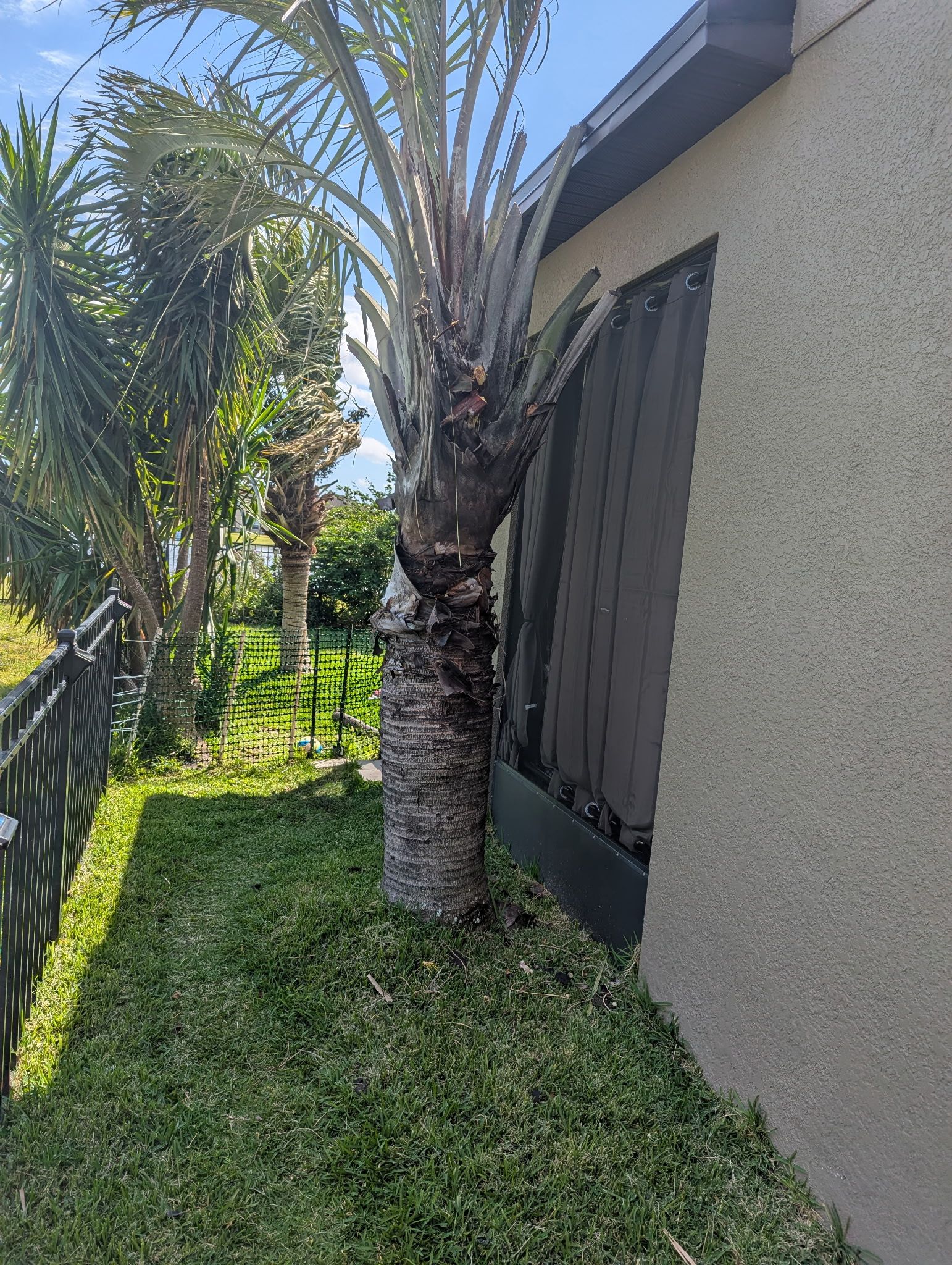 All Photos for TREE BOYS in Ruskin, FL