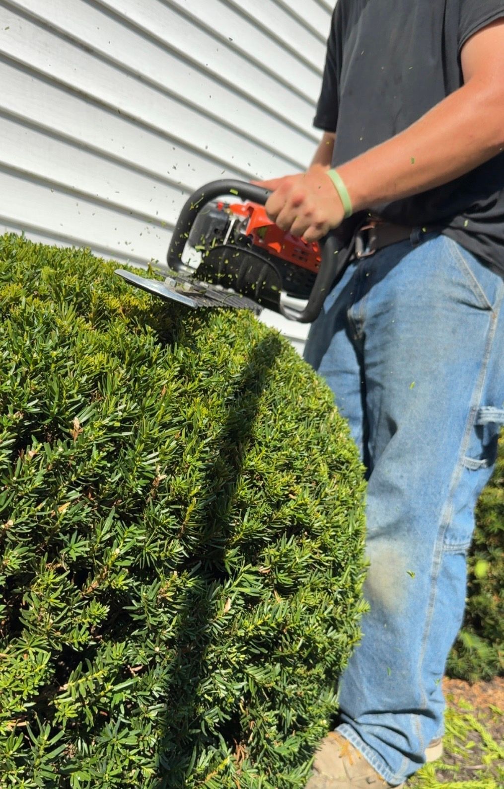  for F&R Landscapes in Lagrange, OH