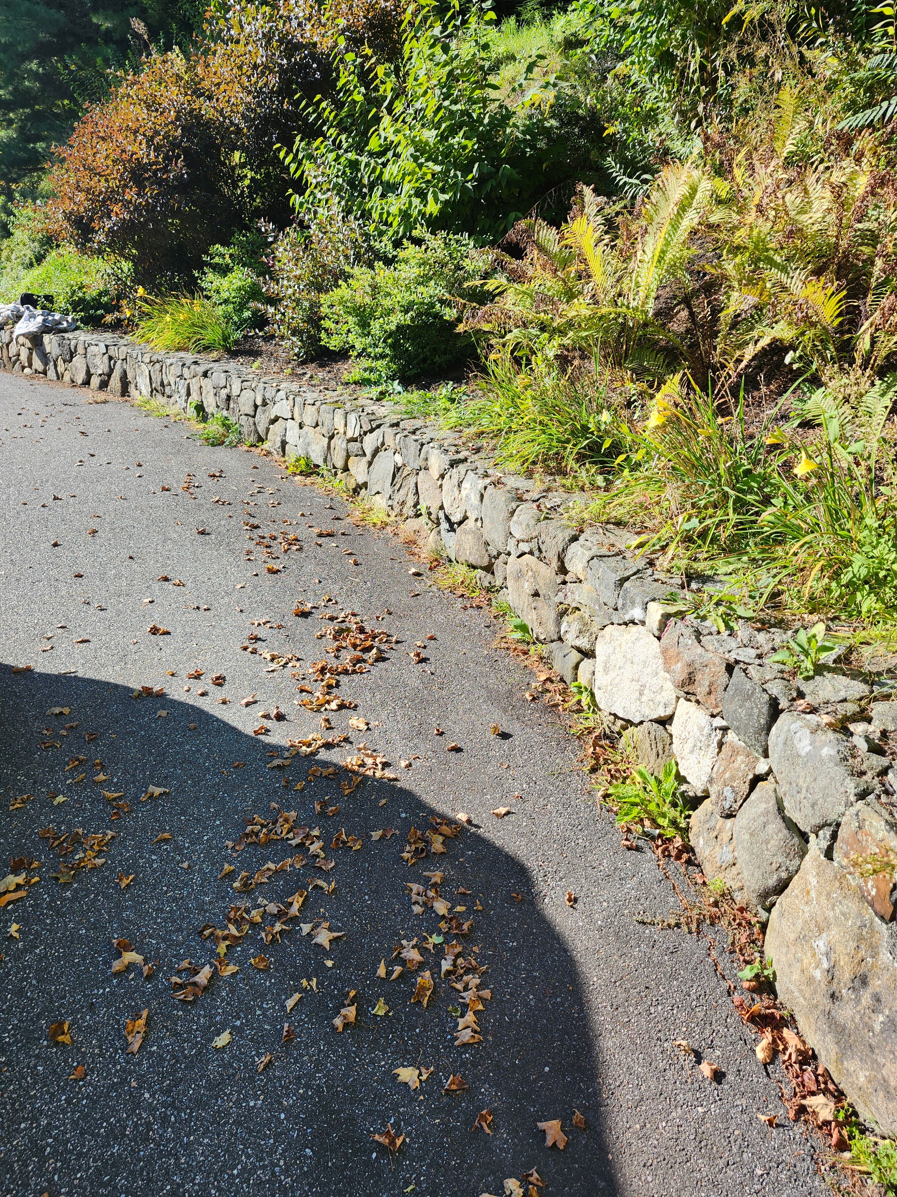 Muclhing & Weeding for Landscape Innovations LLC in Torrington, CT