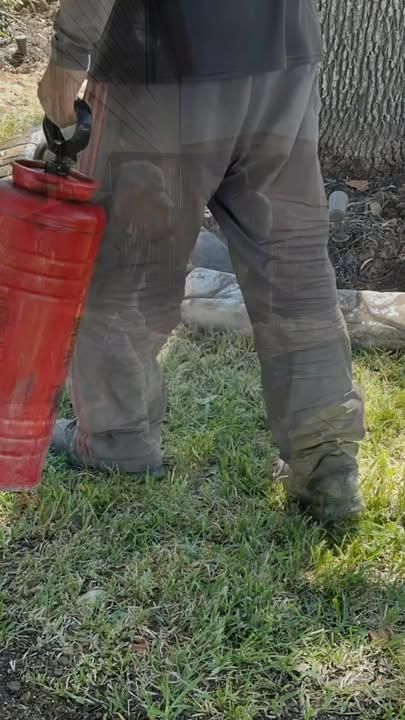  for Texas Curb N Borders in Houston, TX