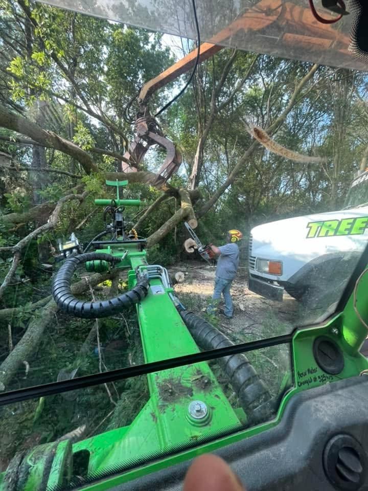  for Tree-B-Gone in Appleton, WI