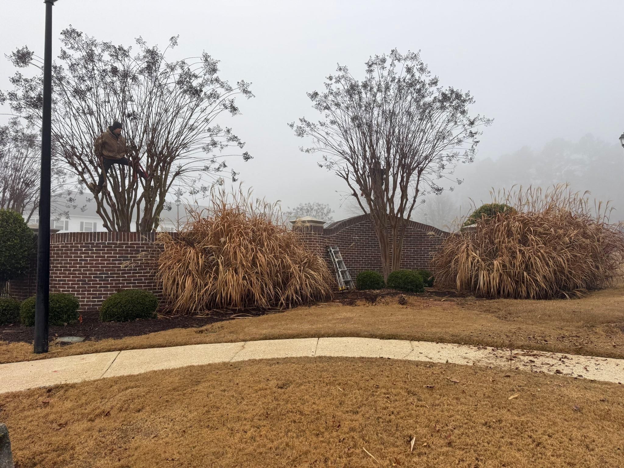  for GA Lawn Care Pros in Jefferson, GA