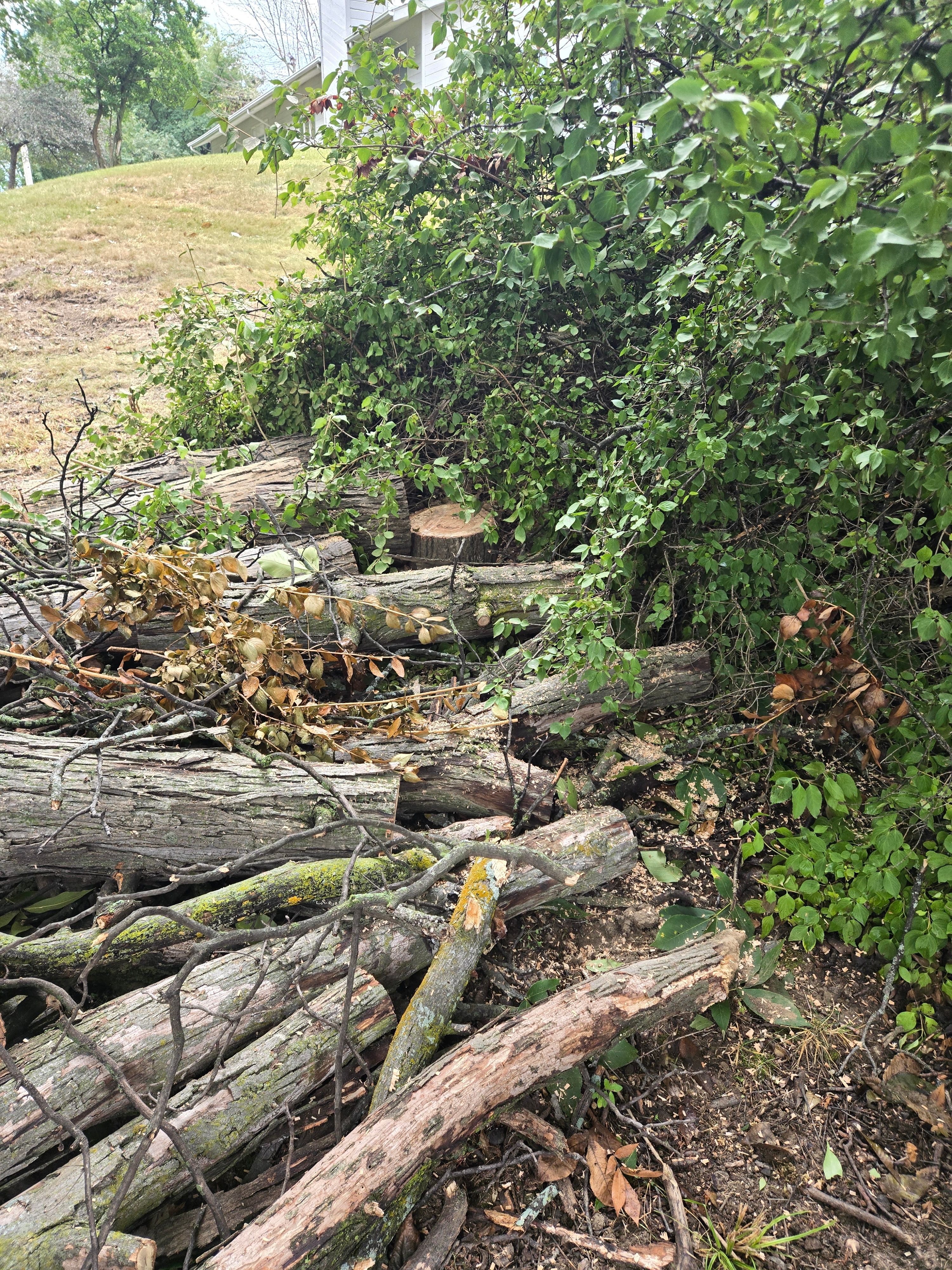  for Lawn Ranger Yard And Tree Service LLC in Ottumwa, IA