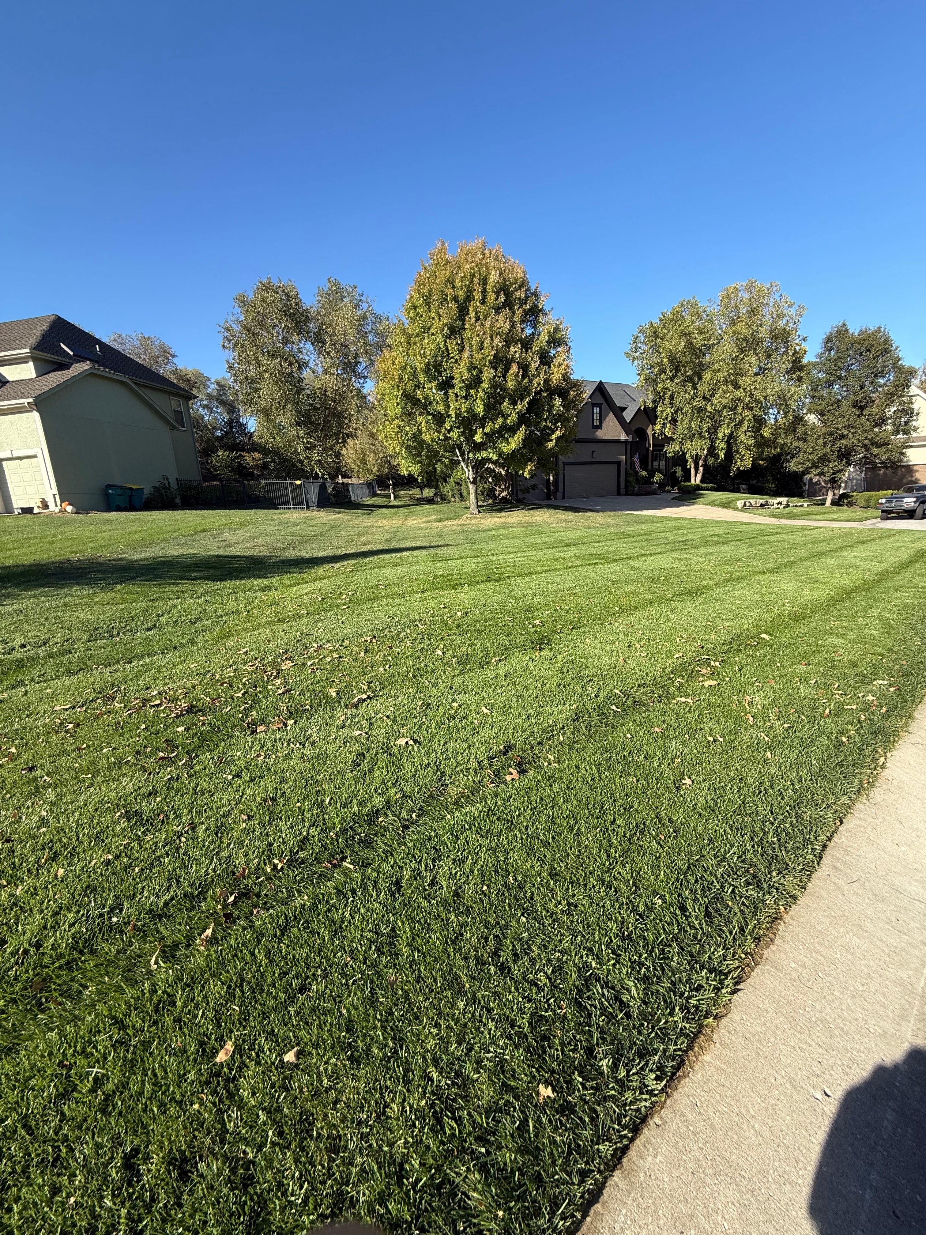  for Elite Lawn Care Solutions in Leavenworth, KS