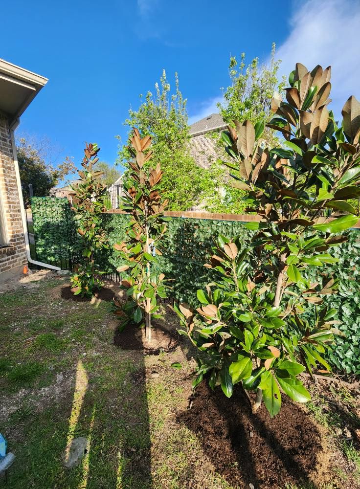  for Lavon Lawn Plus in Lavon, TX