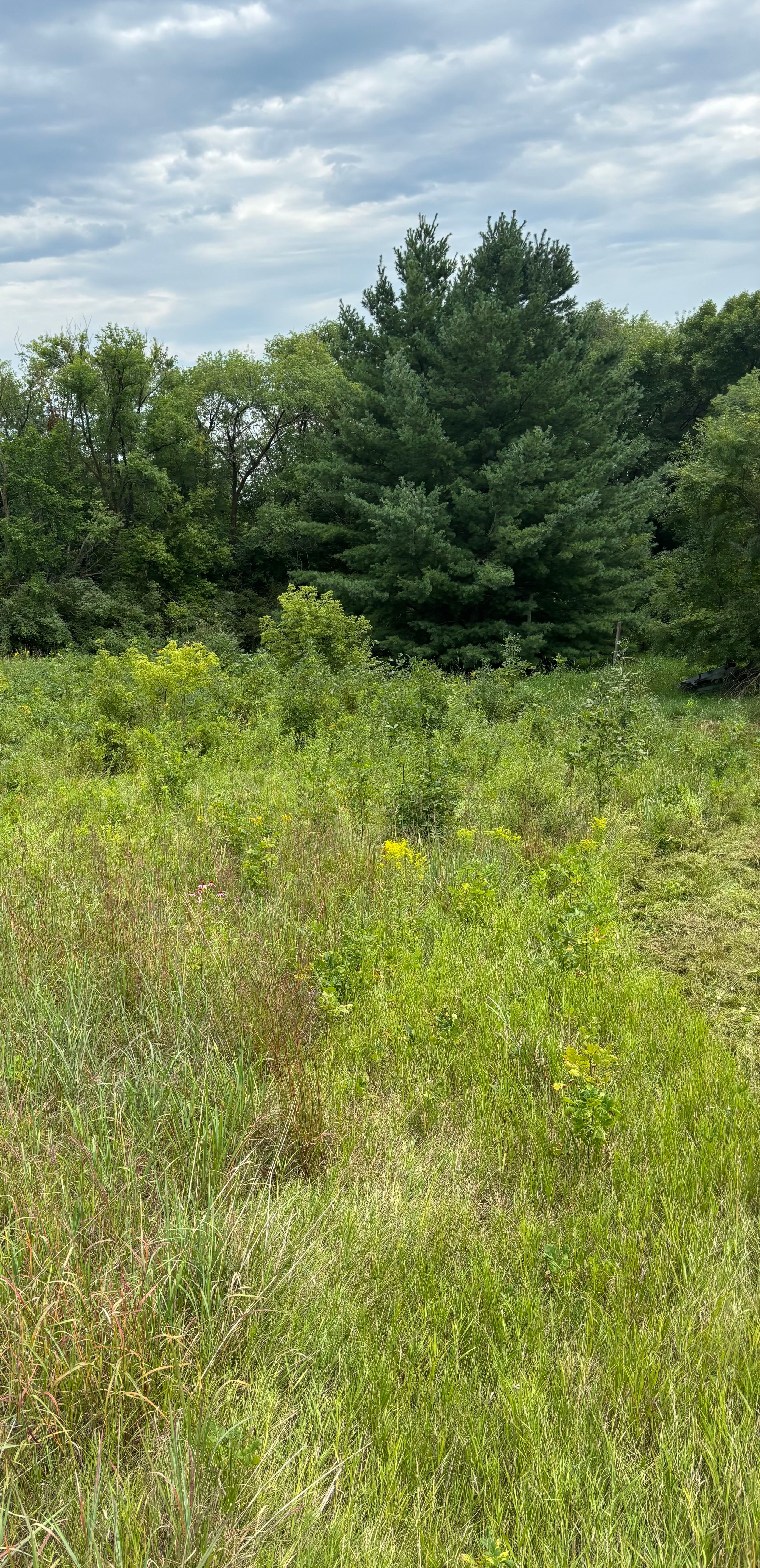  for Root Land Management in Watkins, MN