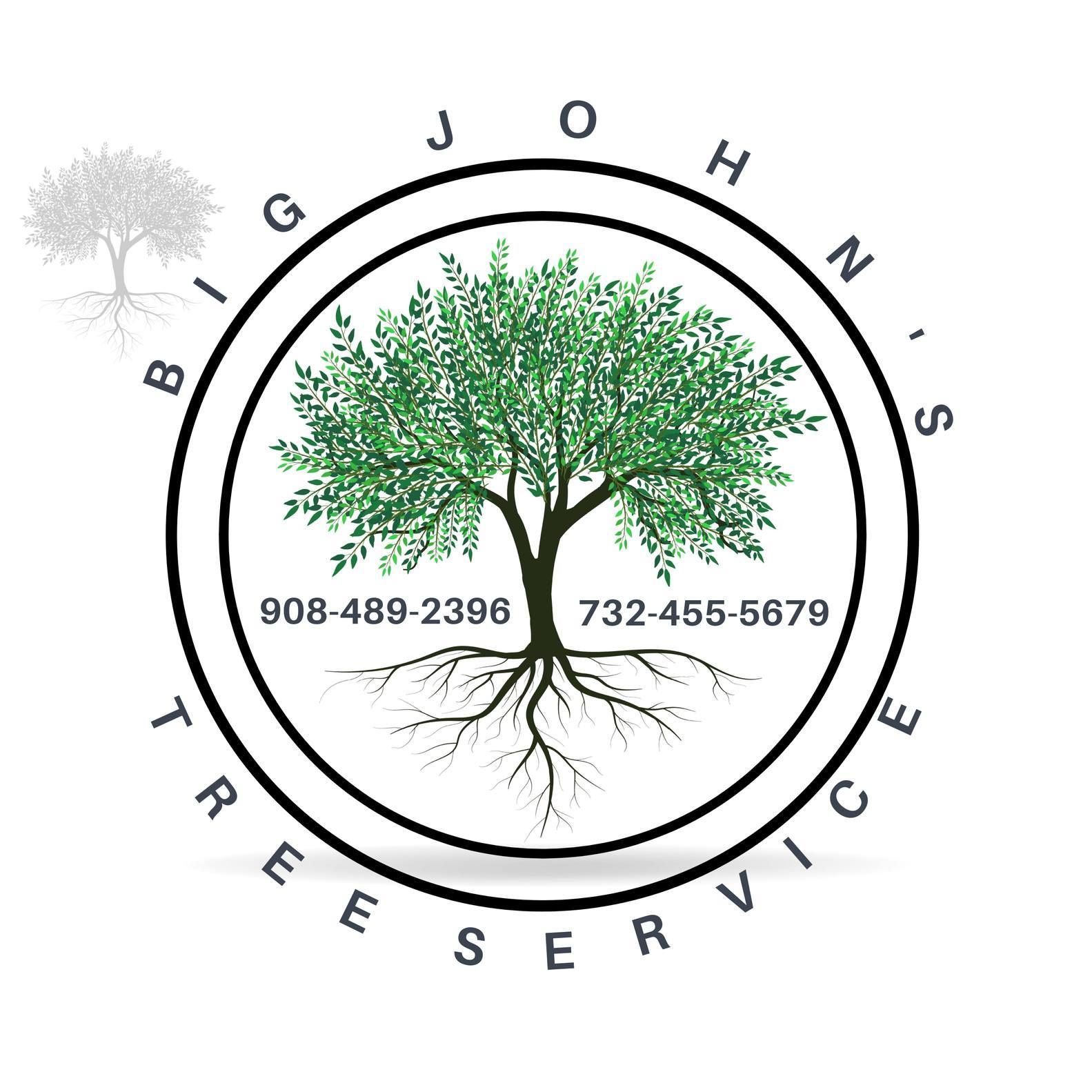 Tree Removal for Big John's Tree Service LLC in Monmouth County,  NJ 