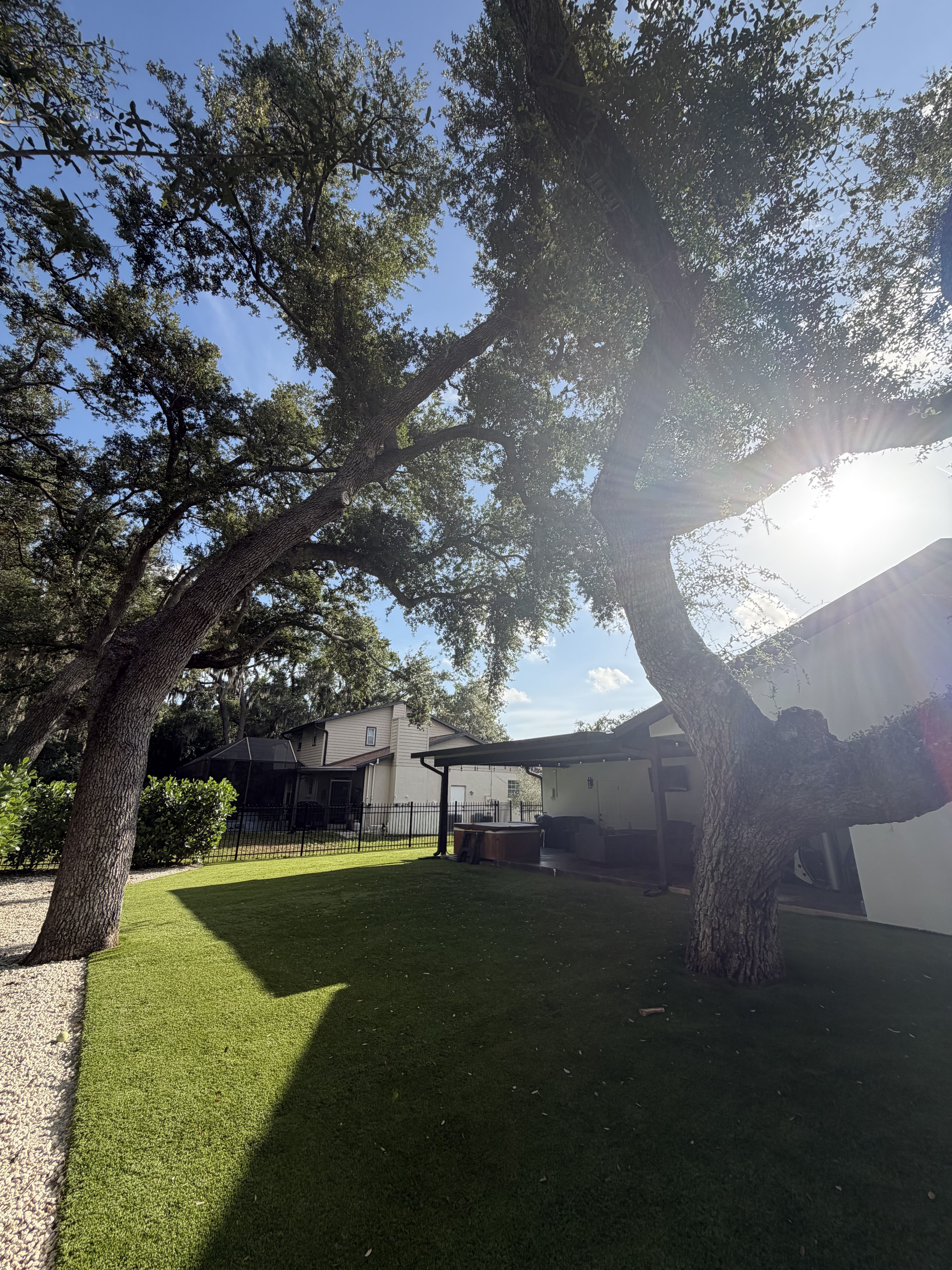  for Damian’s Tree Care in Sarasota, FL
