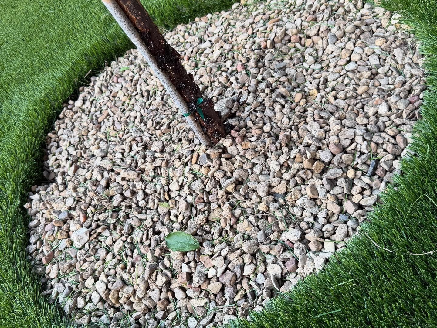 All Photos for Light It Up AV and Turf in Keller, TX