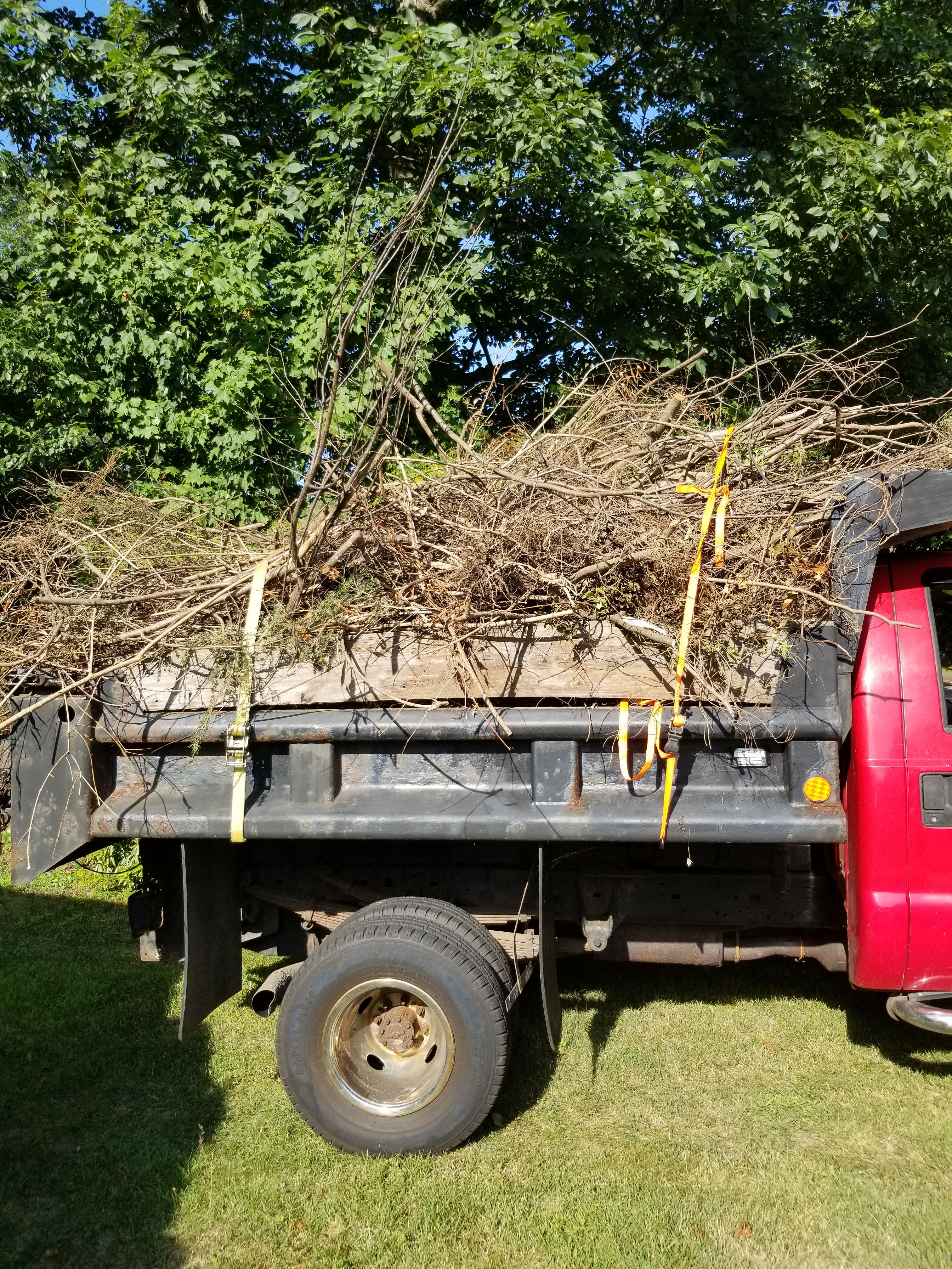 Hedge/Tree/Brush Cutting for Landscape Innovations LLC in Torrington, CT