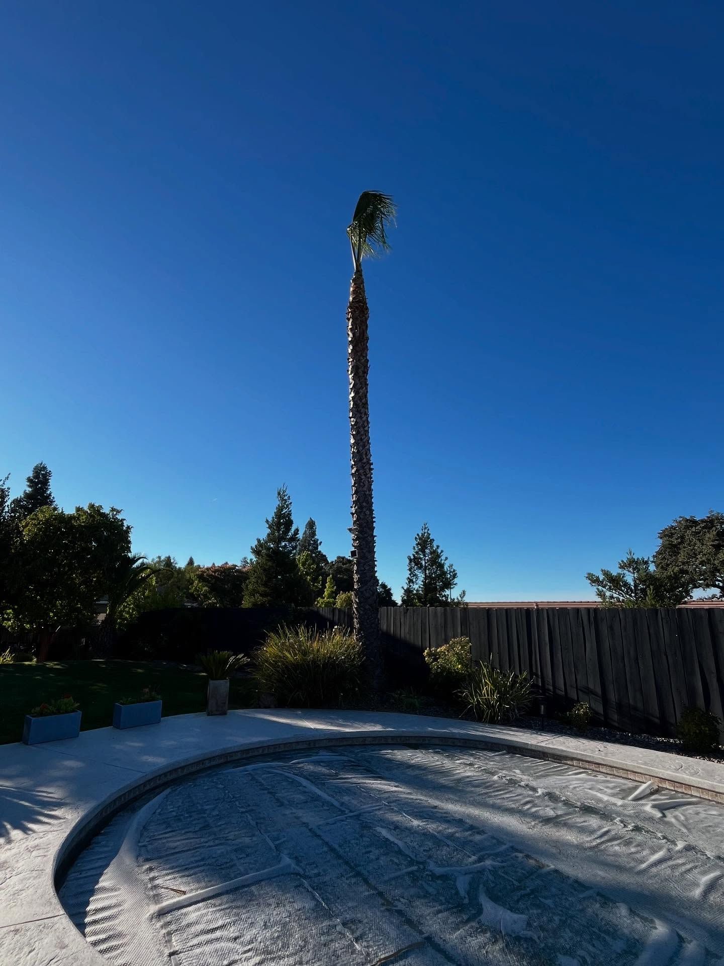  for A1 Junk & Tree Solutions, LLC in Paso Robles, CA