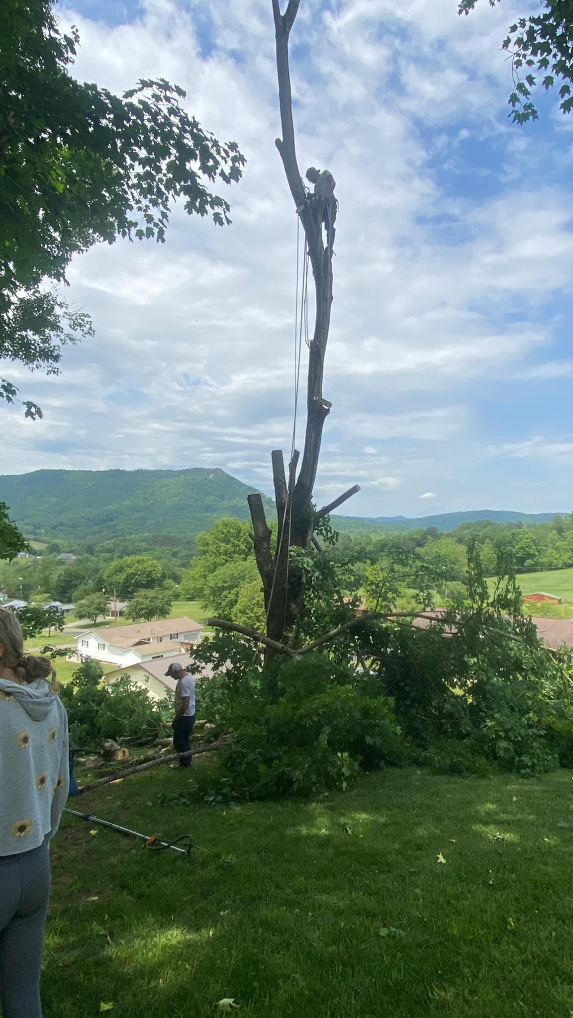 All Photos for Brocks Tree Service LLC in Rogersville, TN