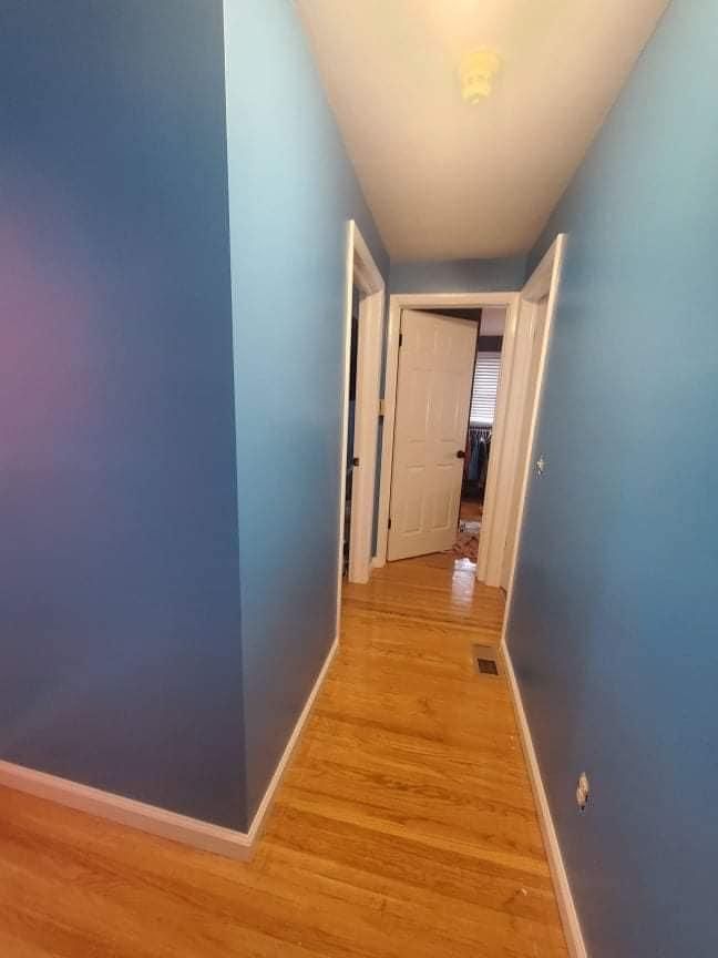  for Painless Painting And Drywall Repair LLC in Rochester, NY