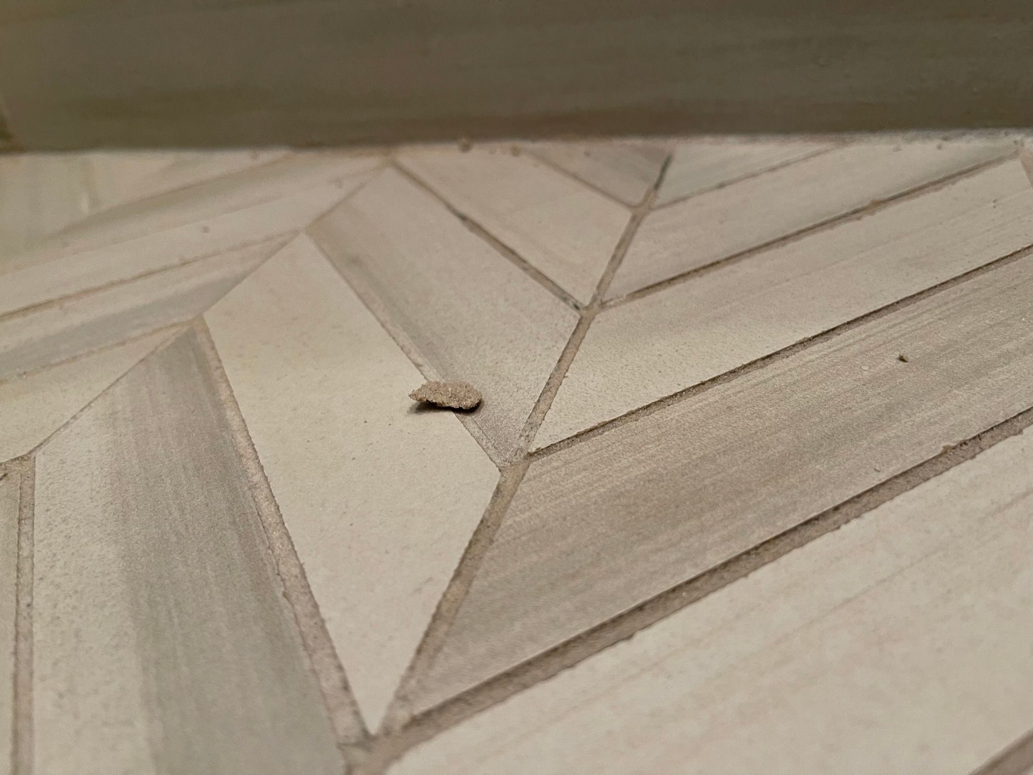  for Tony's Remodeling & Painting in Renton, WA