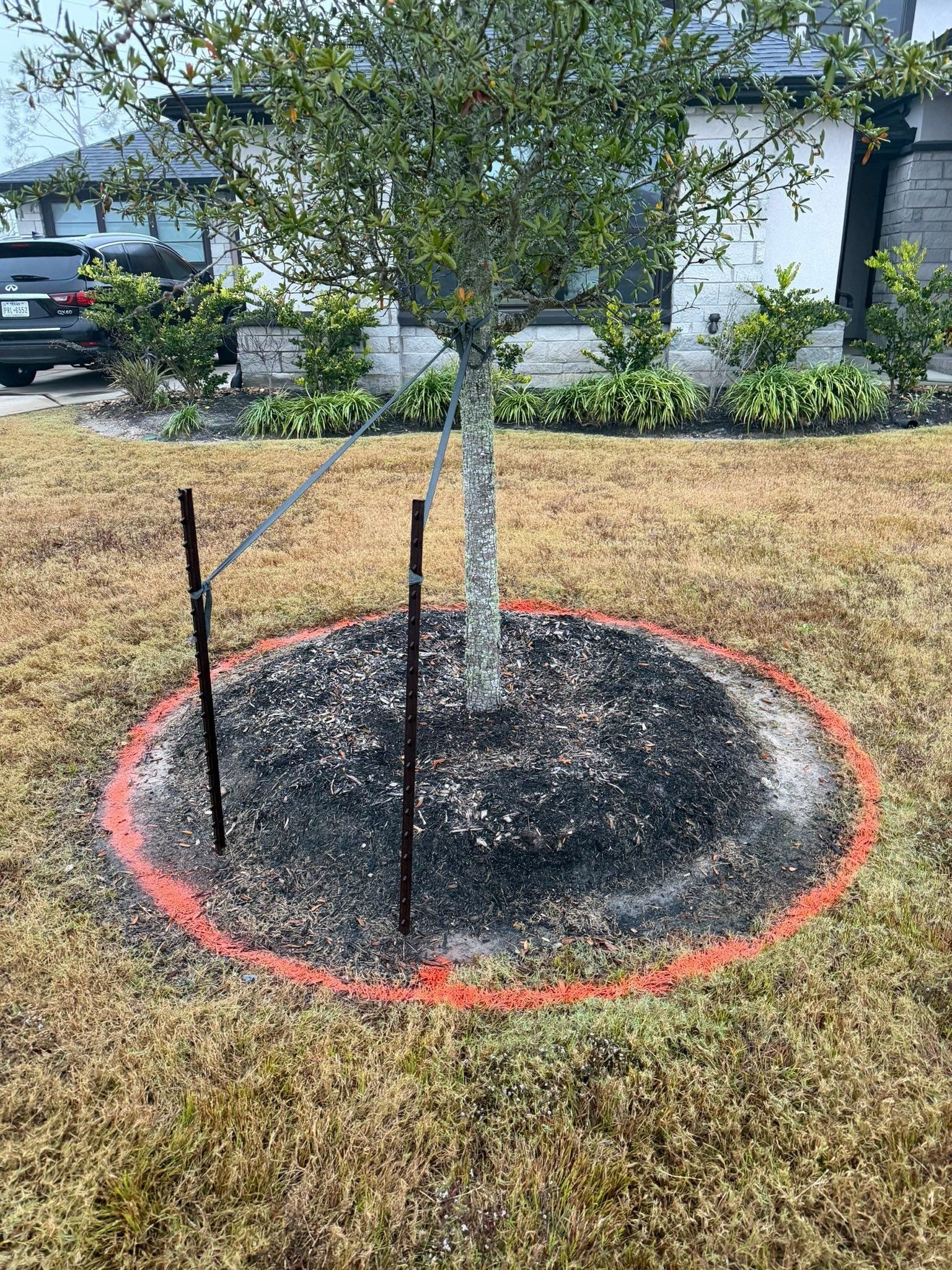  for Texas Curb N Borders in Houston, TX