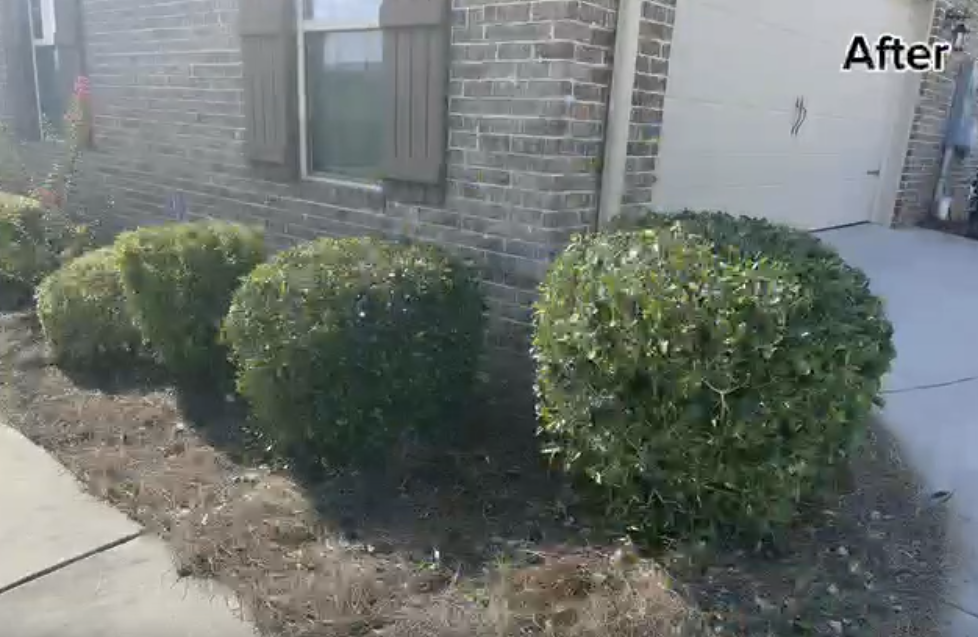  for Velsain Landscapes in Warner Robins, GA