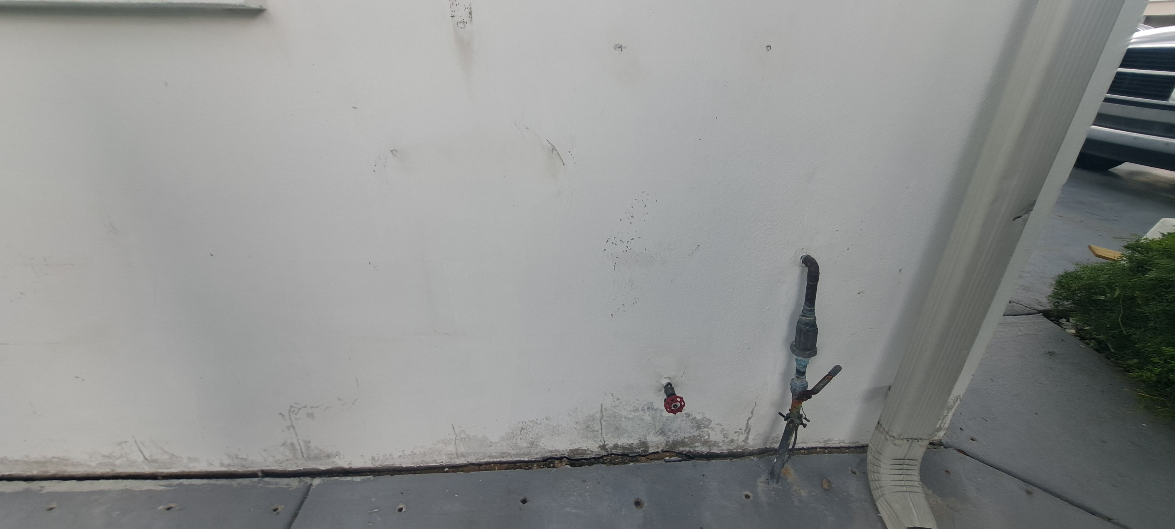  for Perfection Custom Painting LLC in Port Charlotte, FL