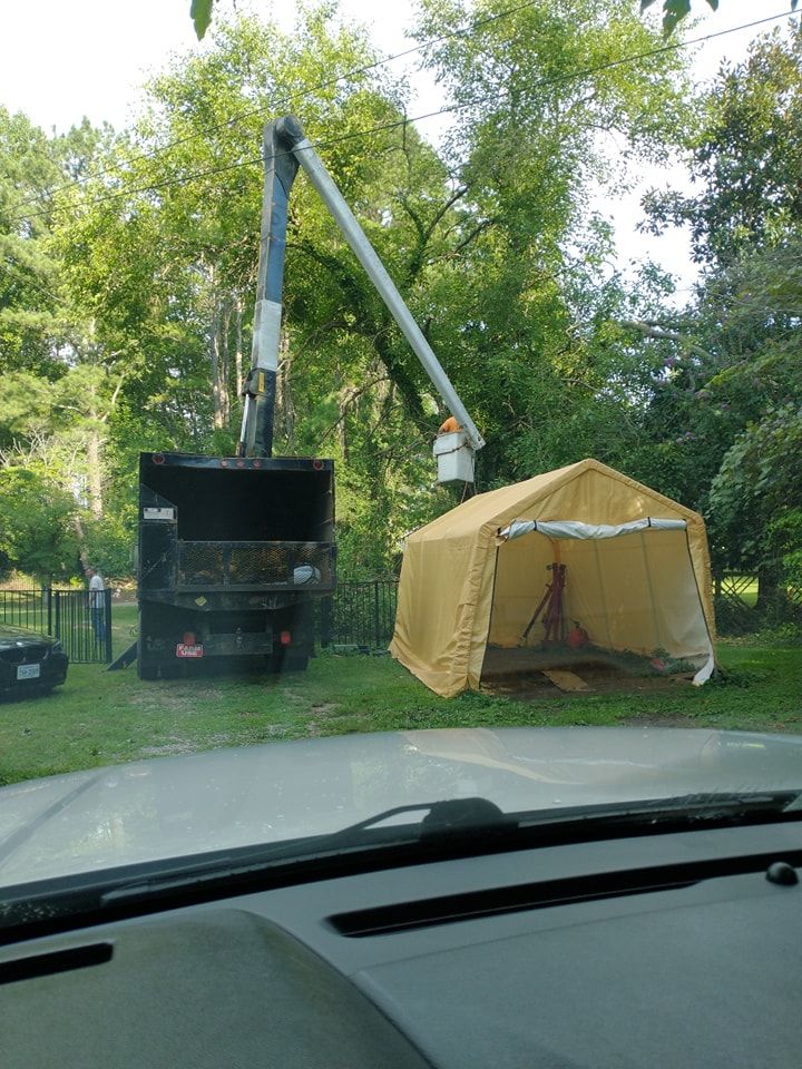  for Country Cutters Tree Service in Prince George, VA