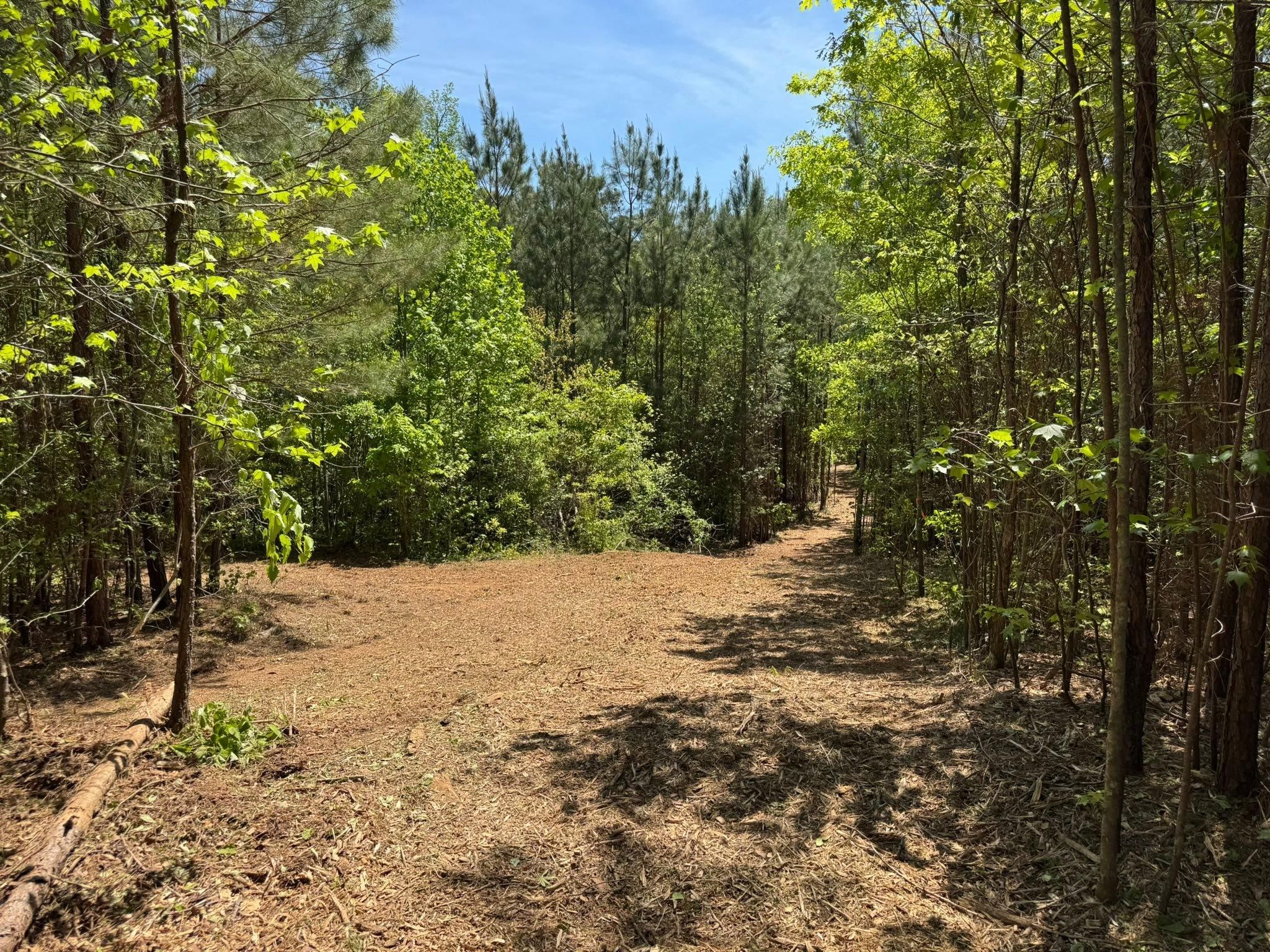  for KLNAX Enterprises in Newton County, GA