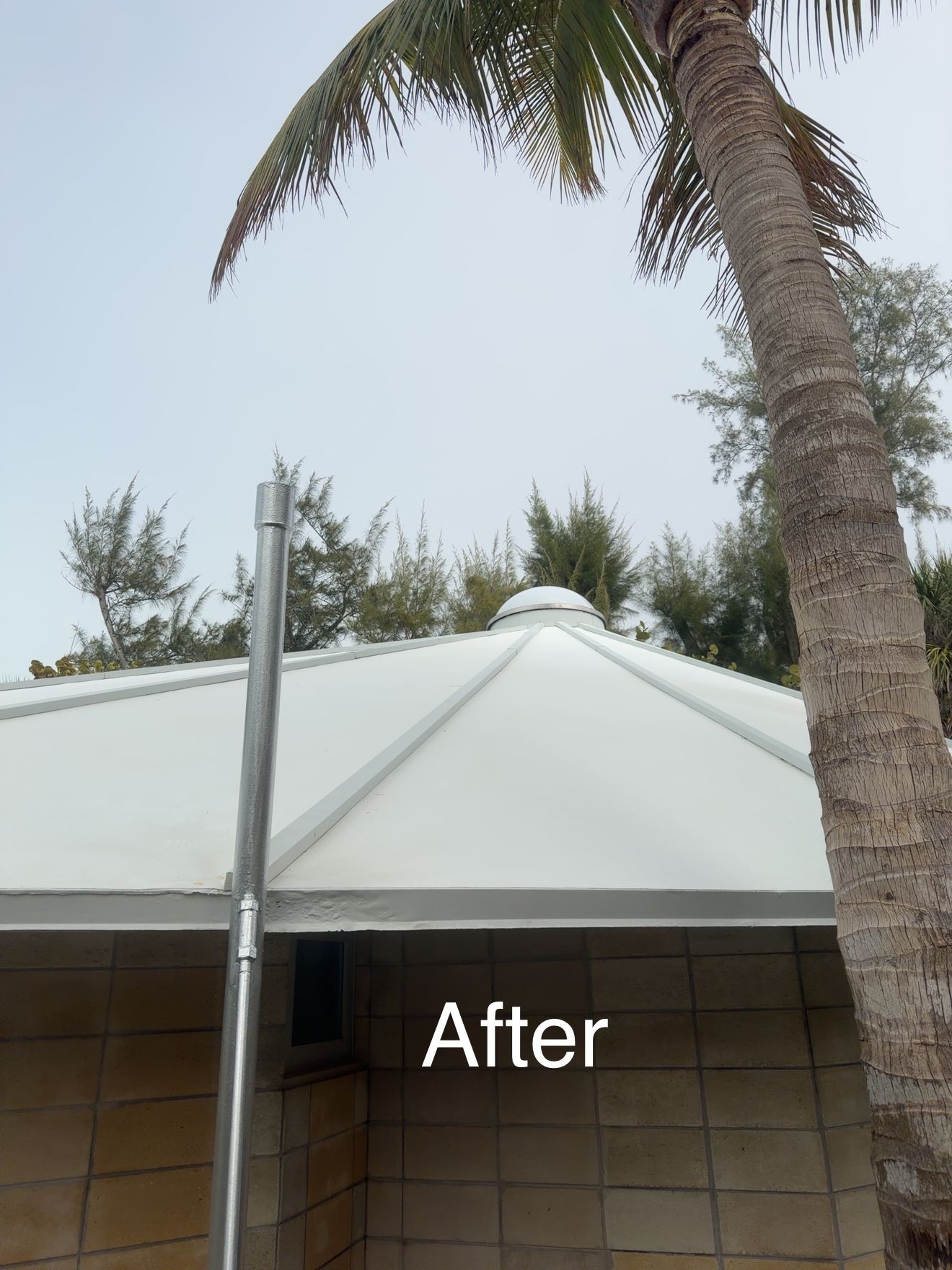  for My Soft Wash Guys in Venice, FL