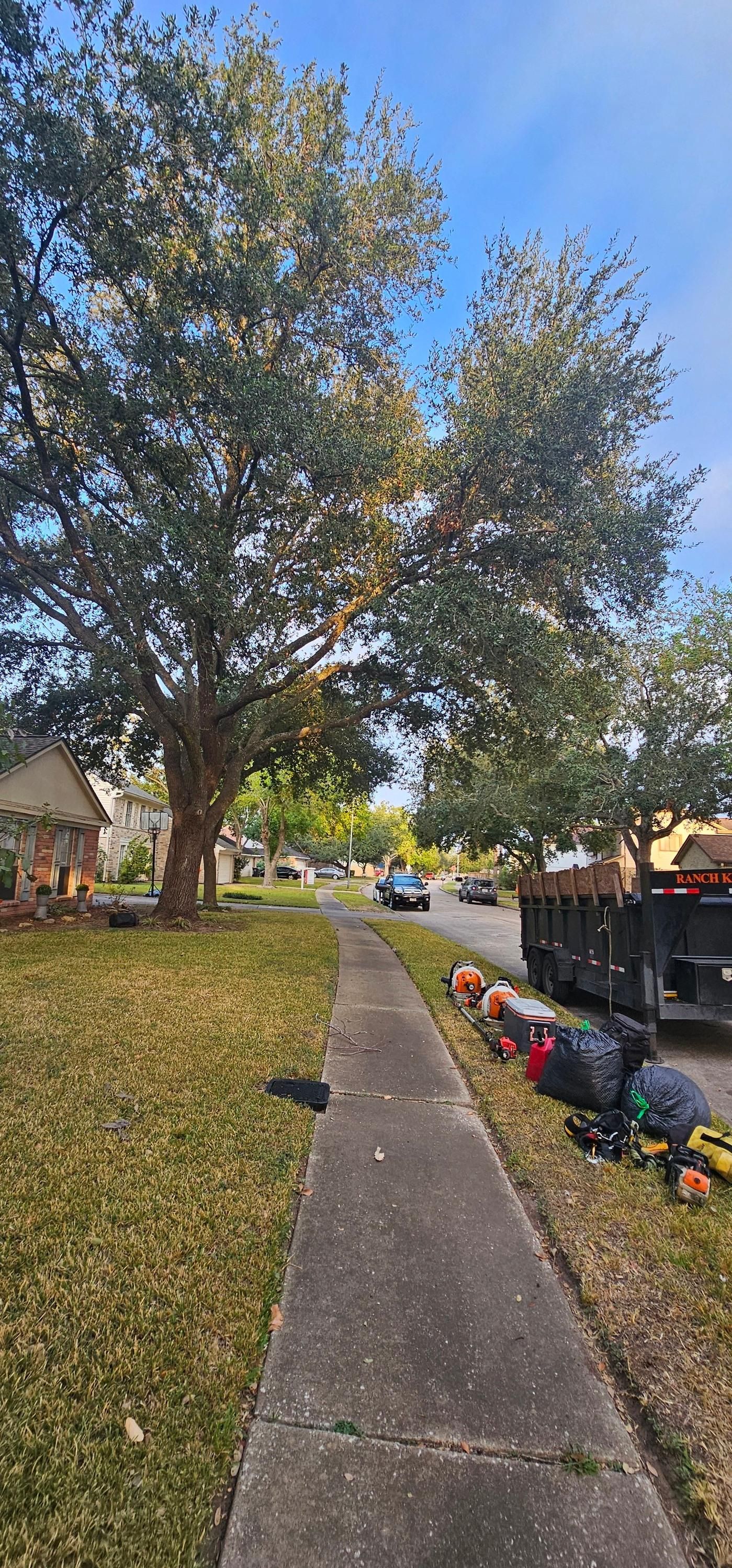  for Servin's Tree Care  in Houston, TX