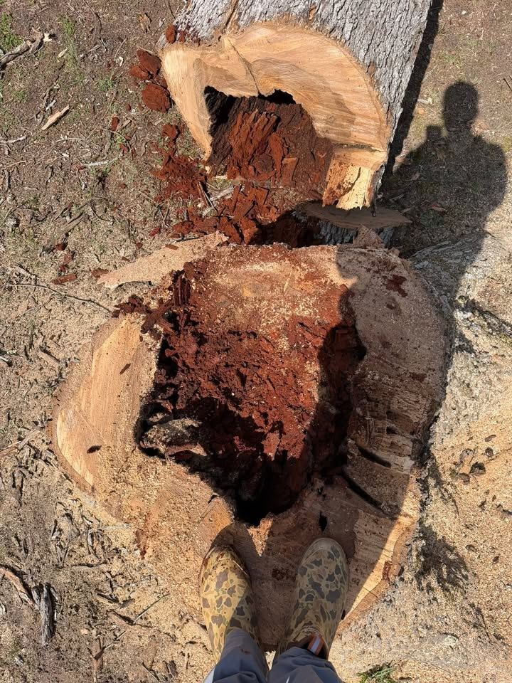 All Photos for Hunt’s Hauling & Landworks LLC in Danville, VA