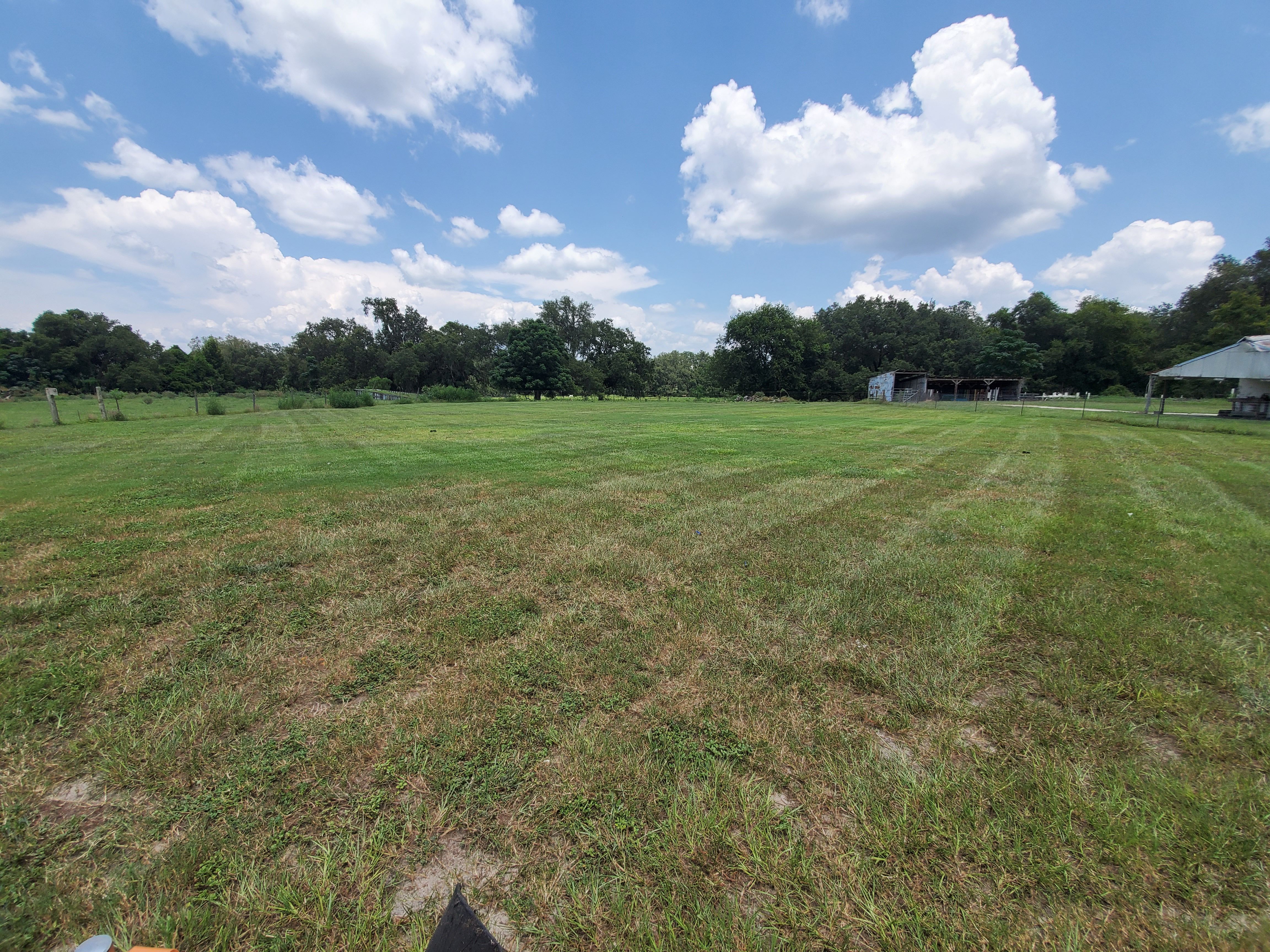  for Village Lawn Services LLC in Lake Panasoffkee, FL