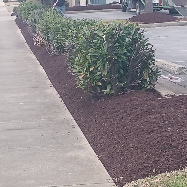  for The Right Price Right Choice Lawn Care Services in Murfreesboro, TN