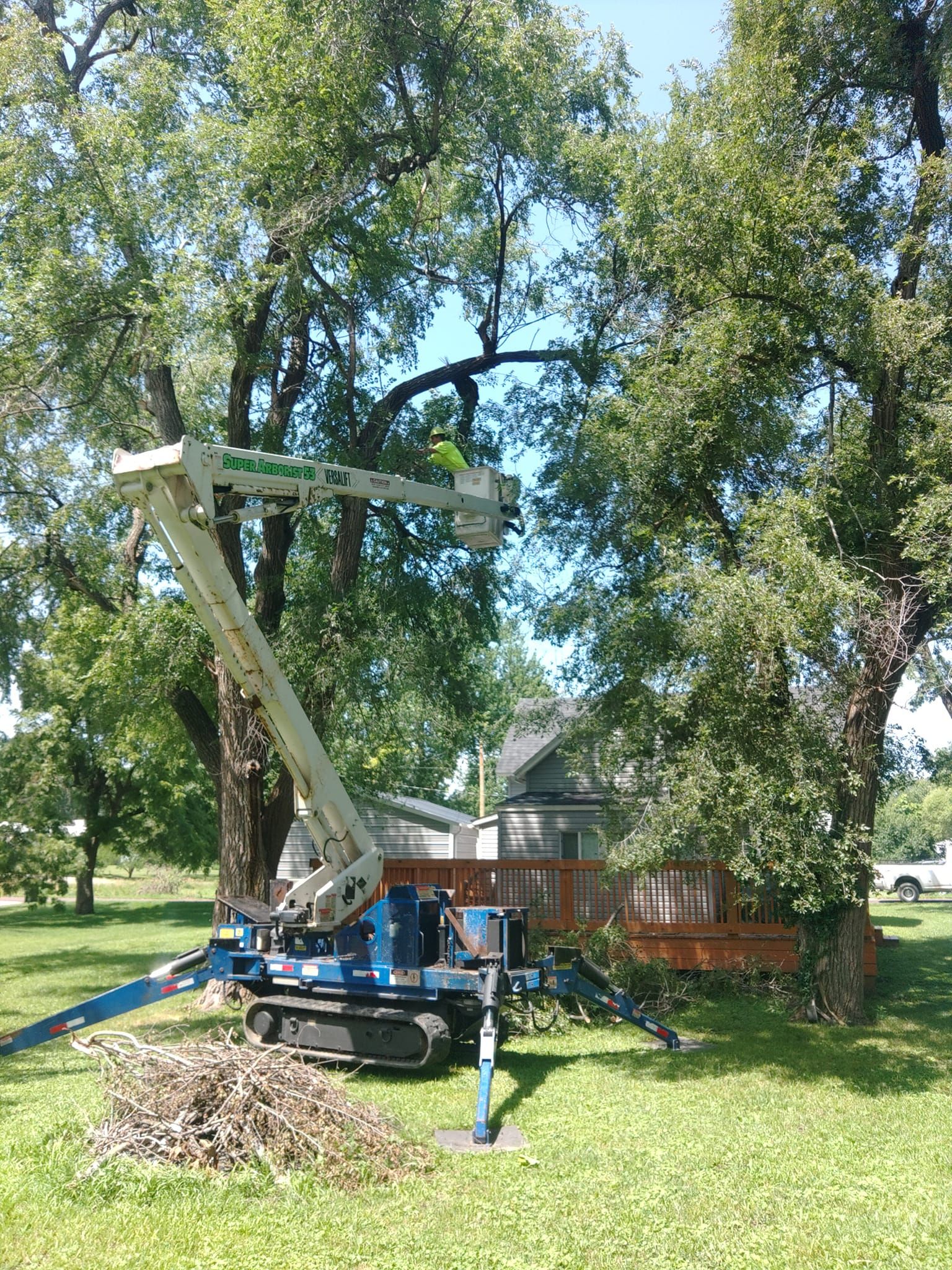  for Mitchell Tree Company in Lathrop, MO