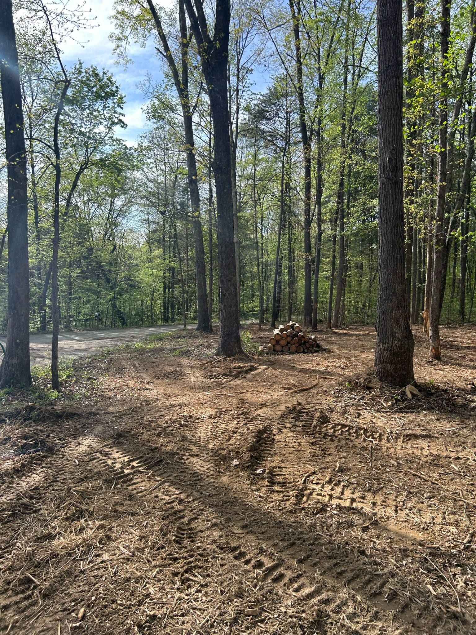  for Z's Land Management & Forestry Mulching in Smithville, TN