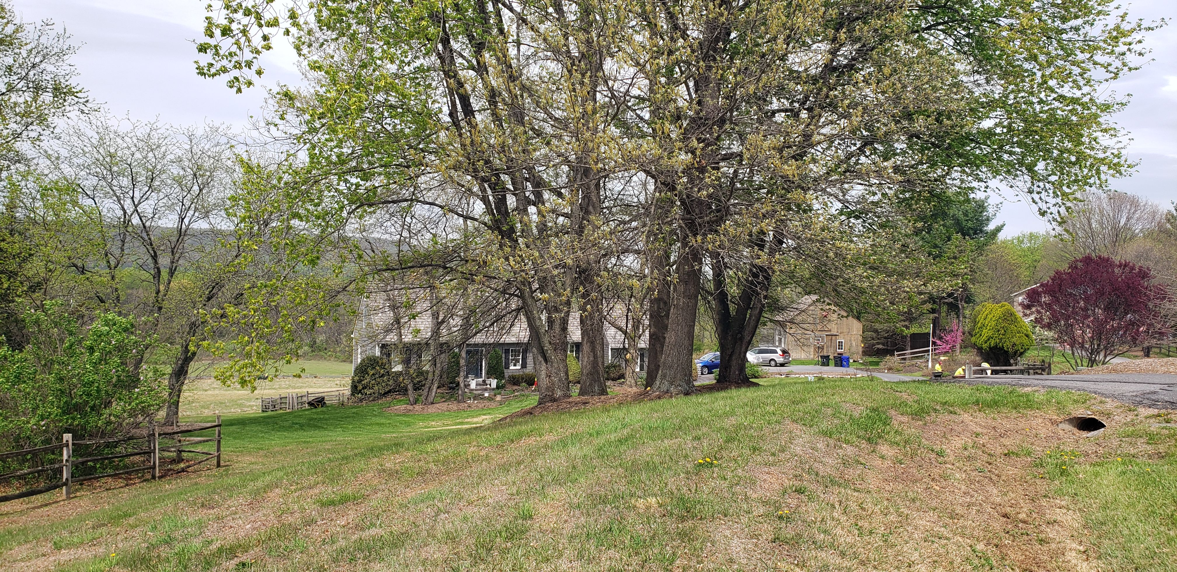  for Clean Cut Lawns & Landscaping in Dickerson, MD