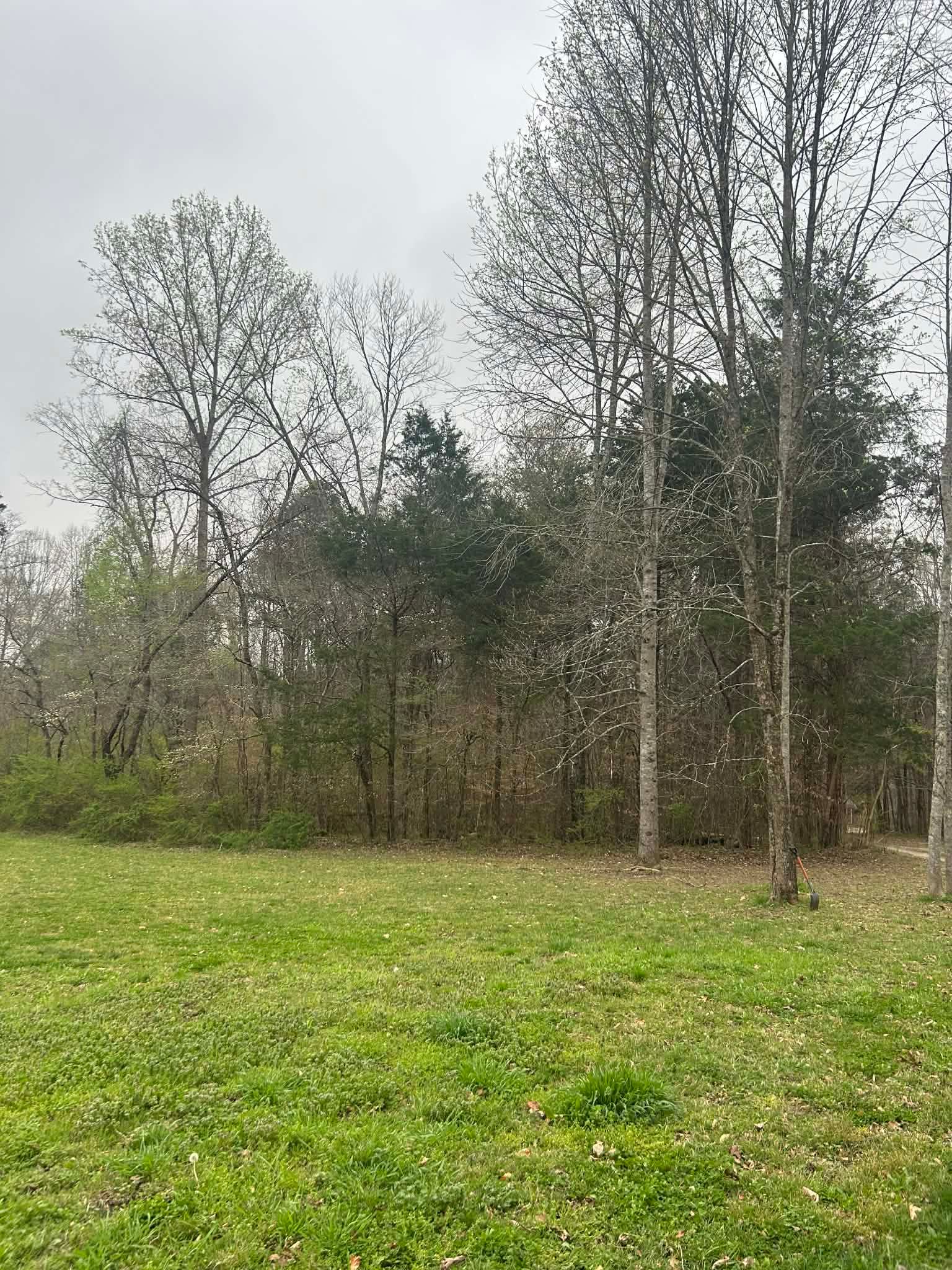  for Z's Land Management & Forestry Mulching in Smithville, TN