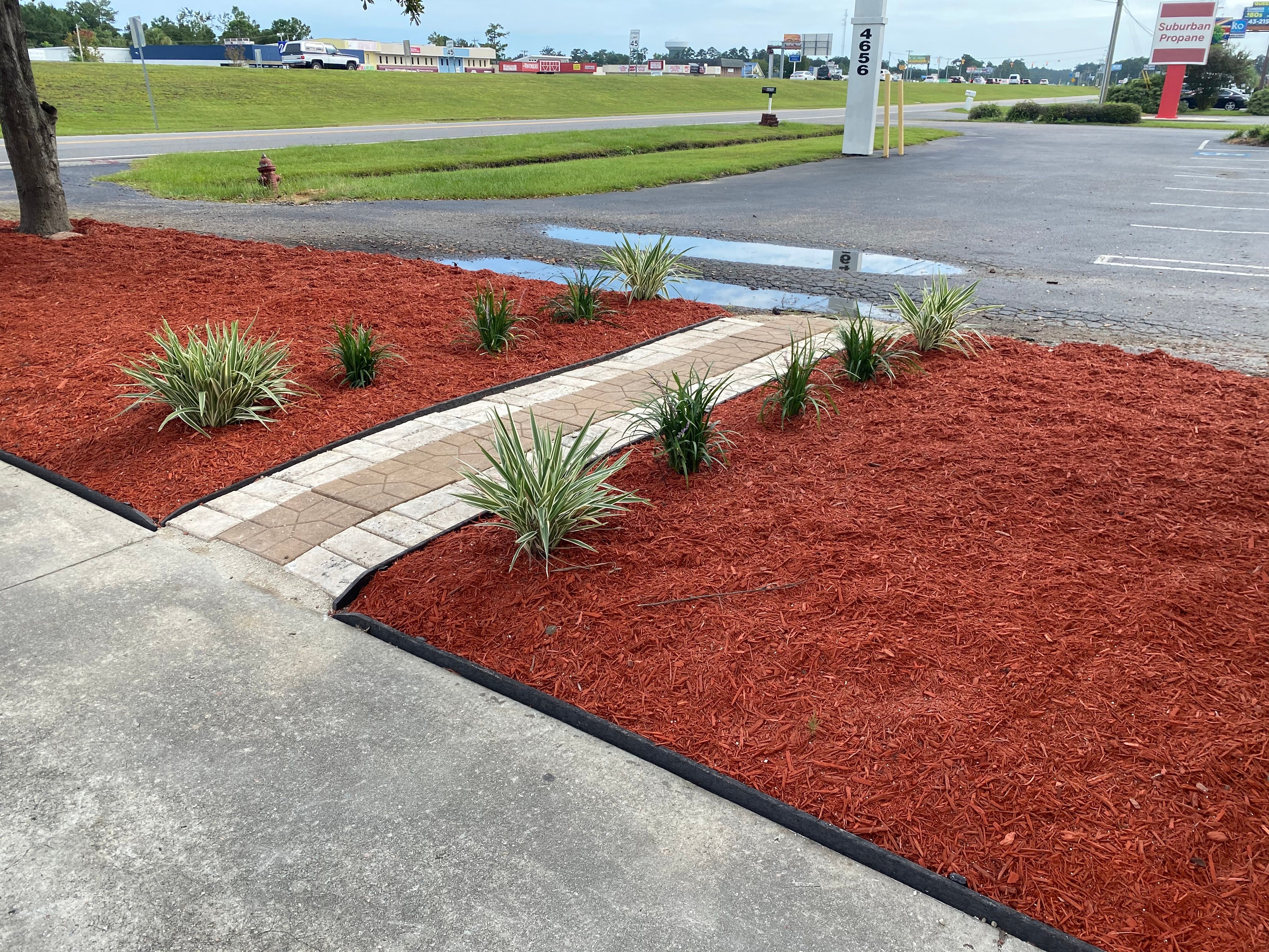  for New Creation Landscaping in Myrtle Beach, SC