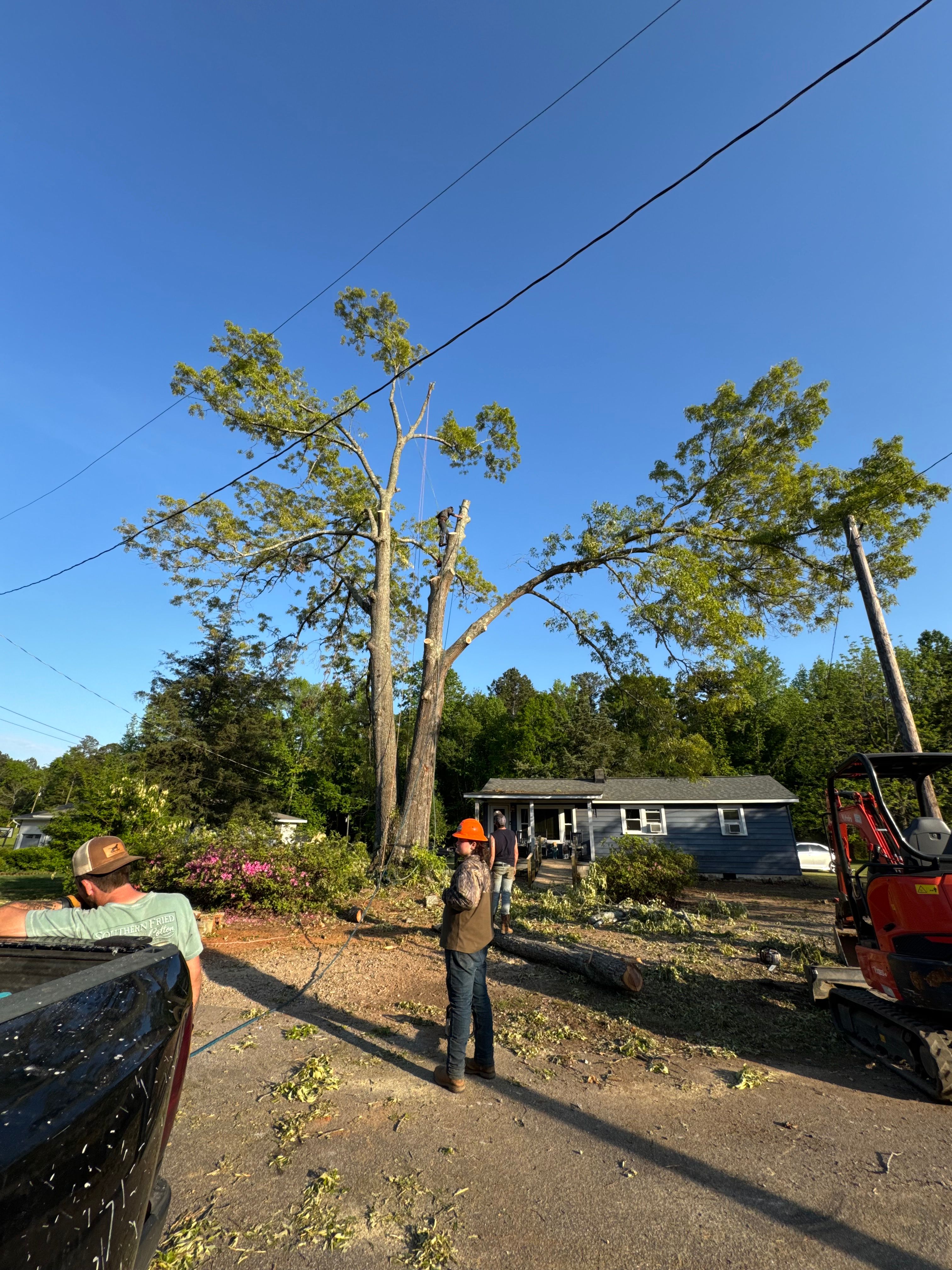  for Thin Green Line Landscaping & More in Laurens, SC