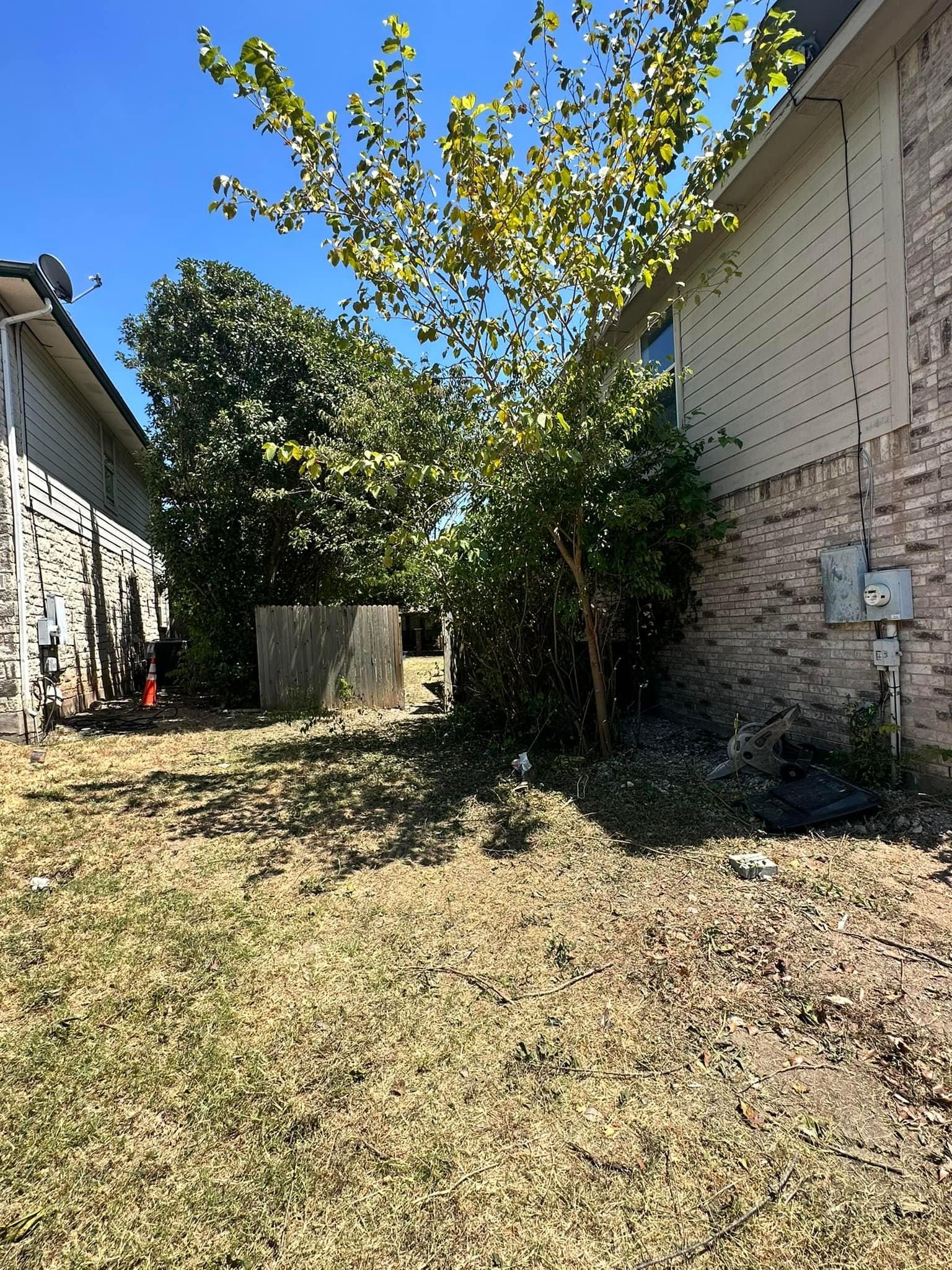 All Photos for Green Turf Landscaping in Kyle, TX