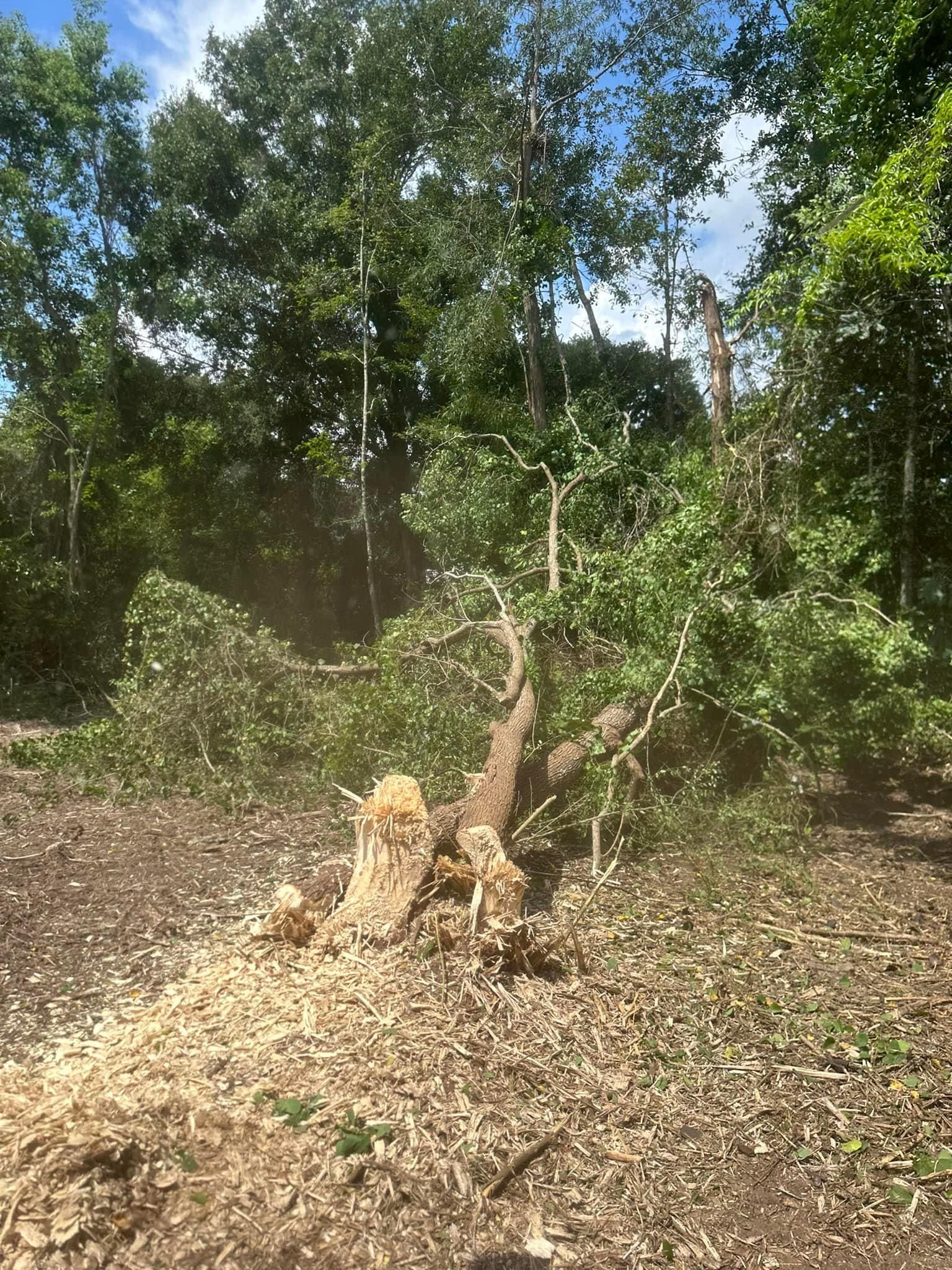  for White’s Land Maintenance in Milton,, FL