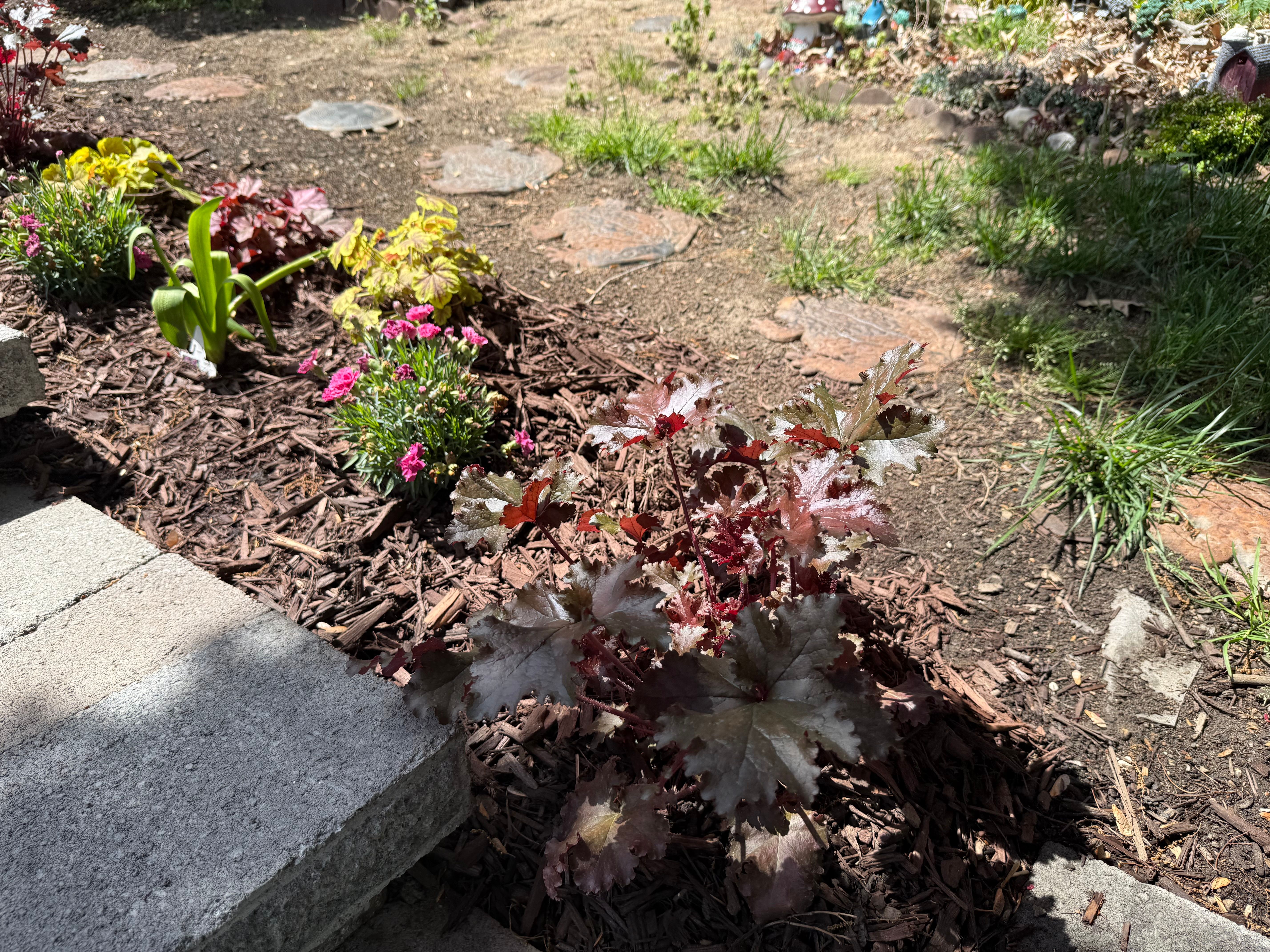  for Matteo Hardscapes in Towson,  MD