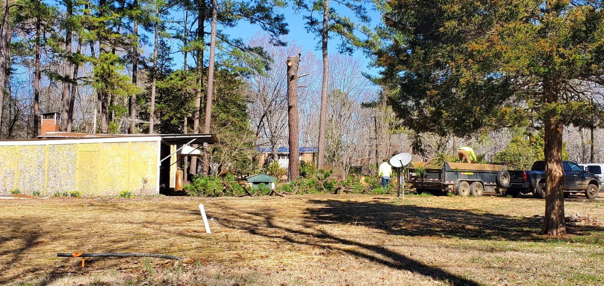 Tree Removal for Rosales Landscaping LLC in Lake Gaston, North Carolina