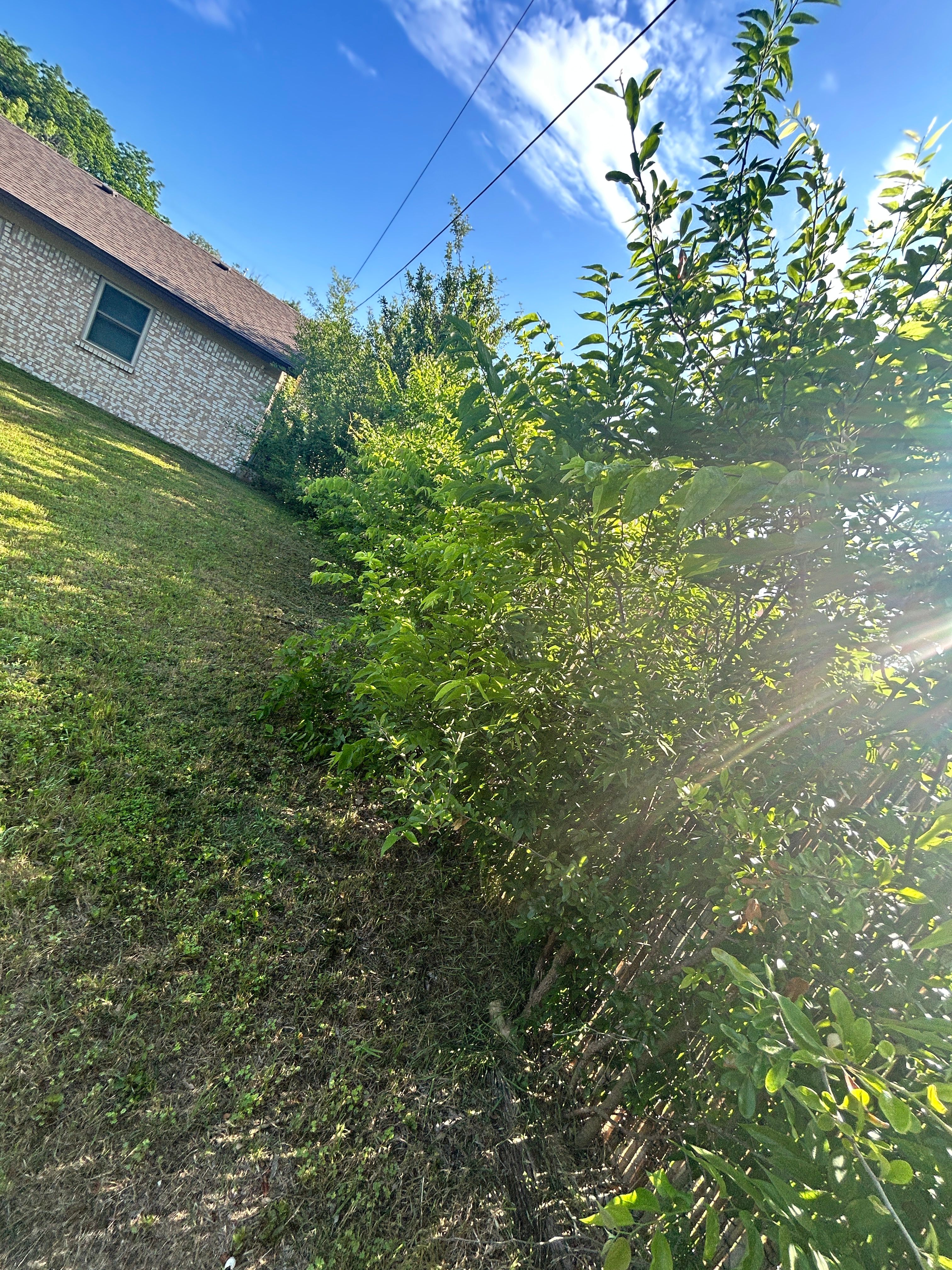  for D’s Lawncare in Killeen, TX