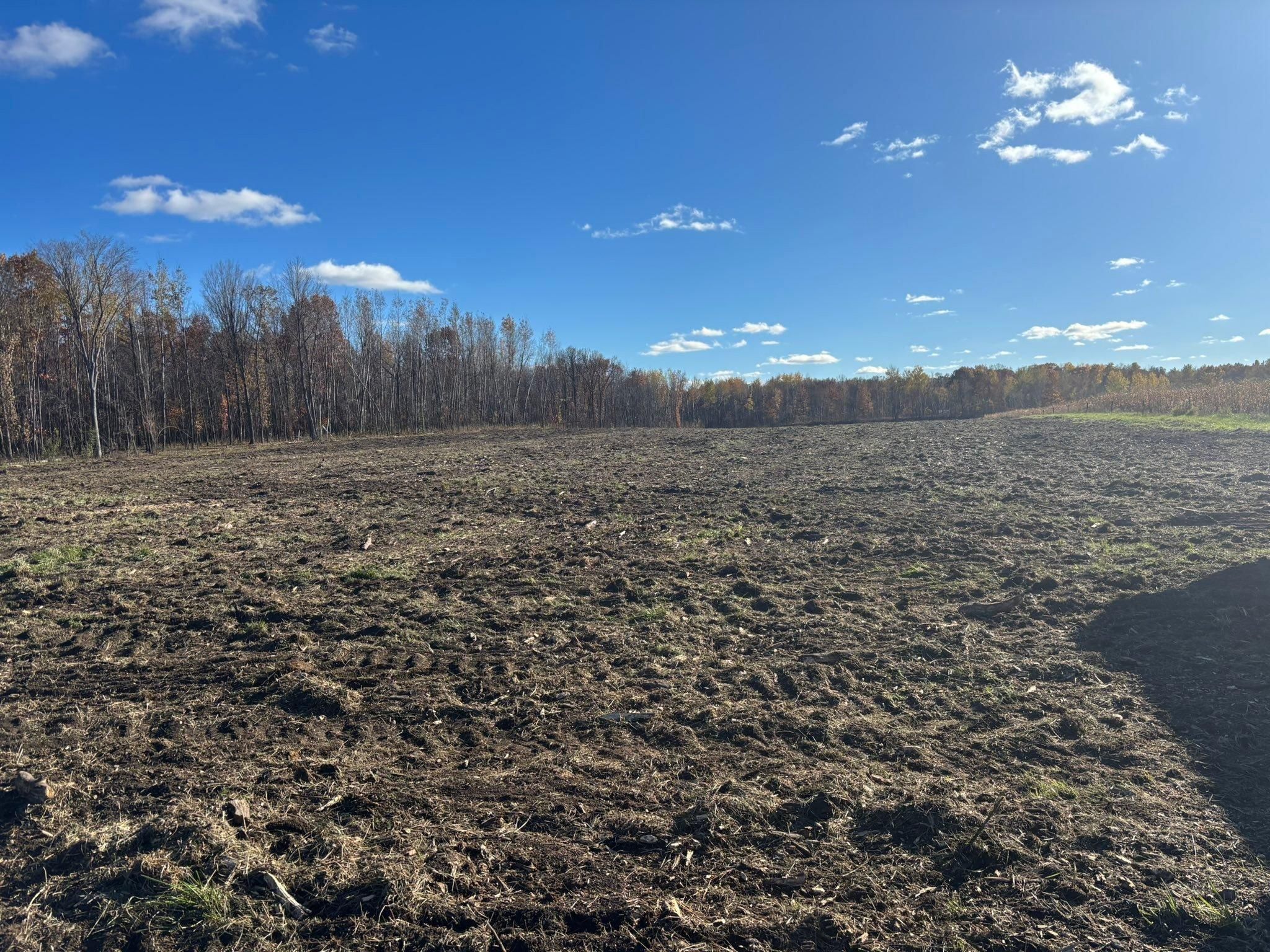  for Premier Services in New London, MN