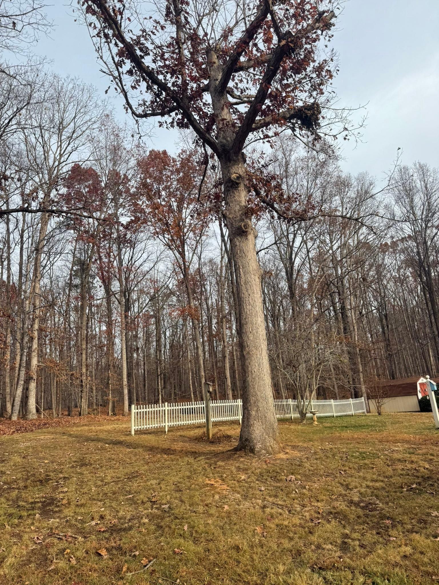  for Chiles Lawn & Landscaping in Gordonsville, VA