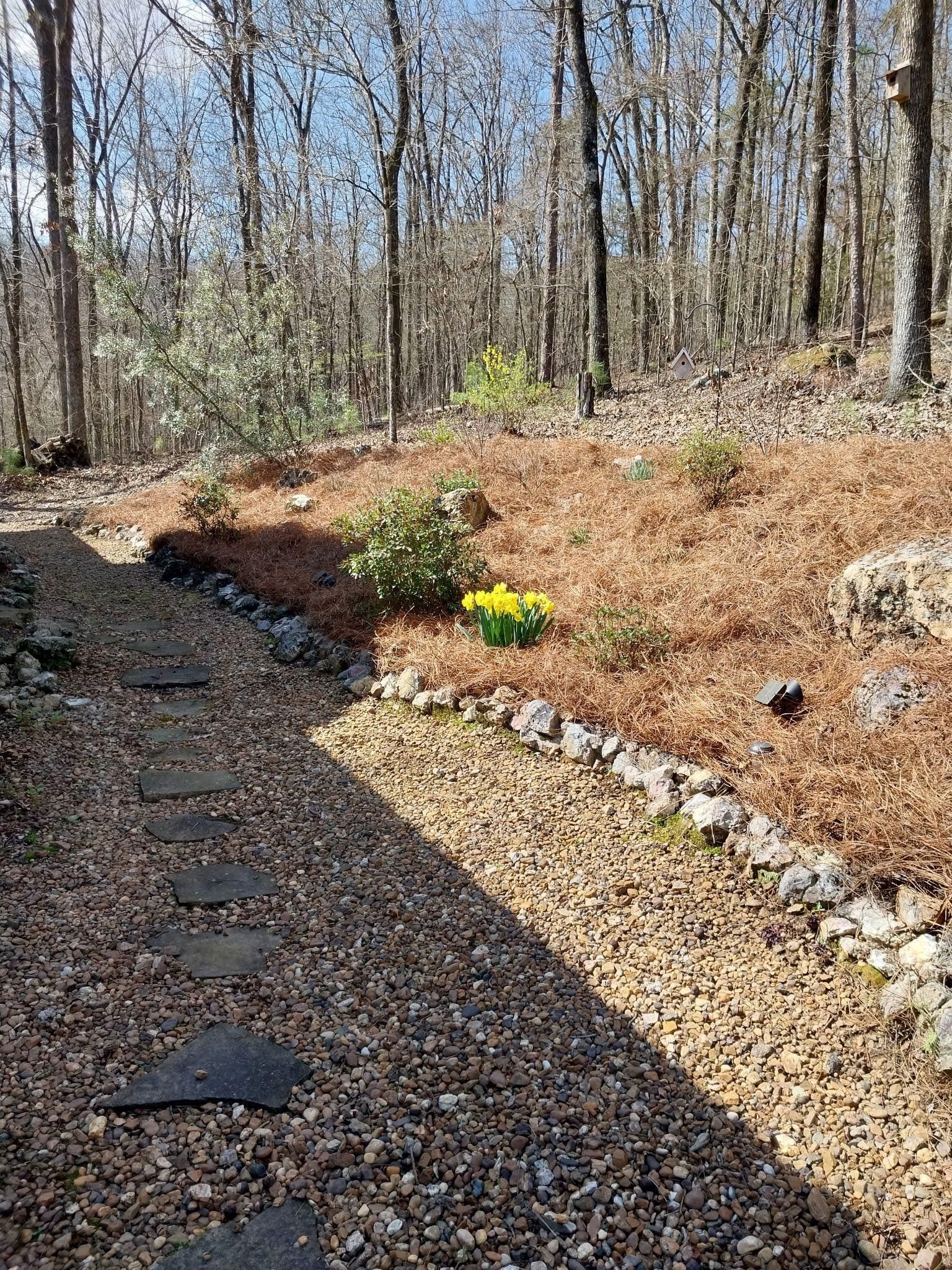  for Greenwood Lawn & Landscaping LLC in Talladega, Alabama