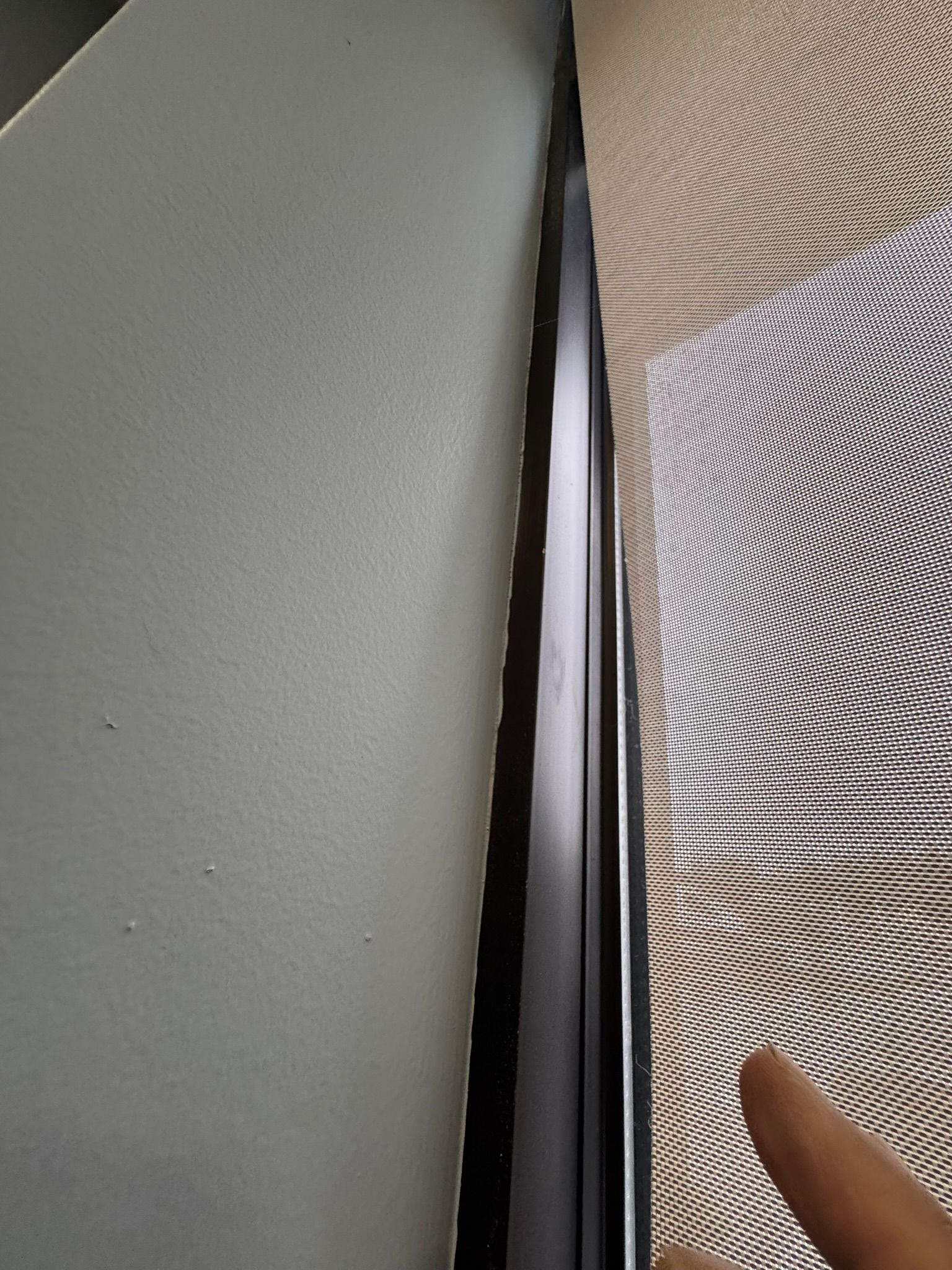  for Tony's Remodeling & Painting in Renton, WA