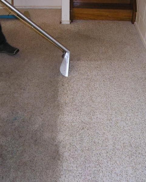  for Cleaning Carolina’s LLC in Greensboro, NC