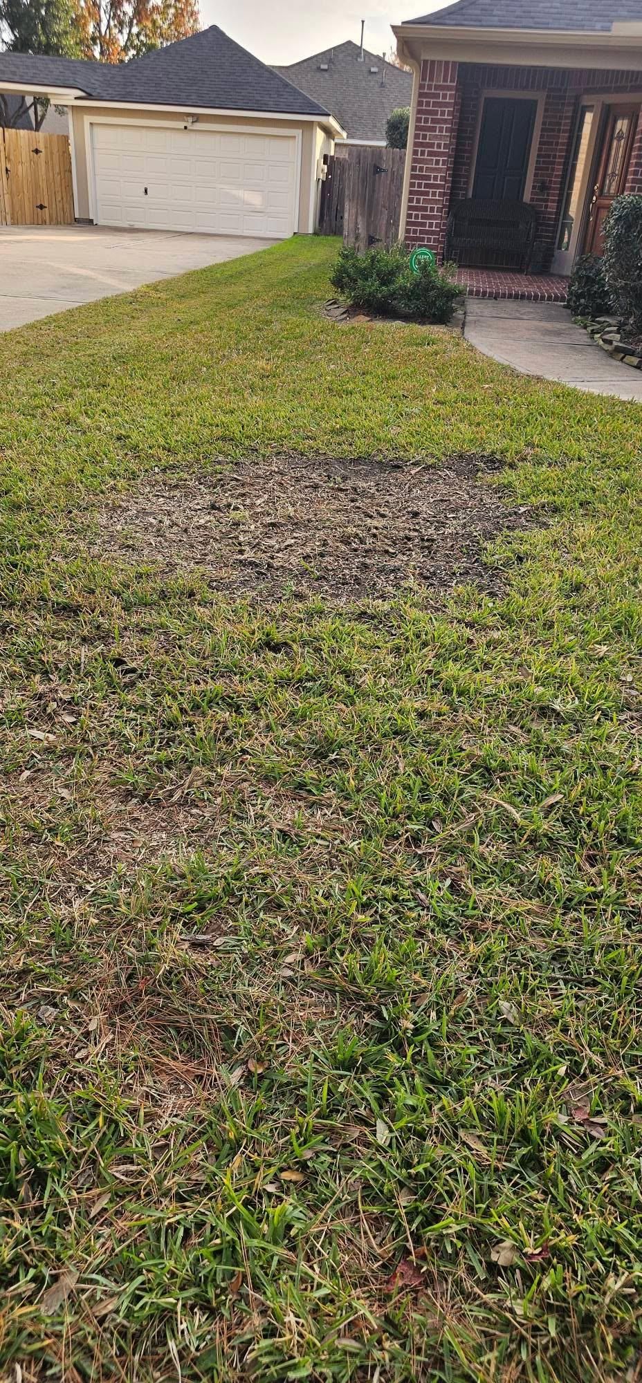  for Servin's Tree Care  in Houston, TX