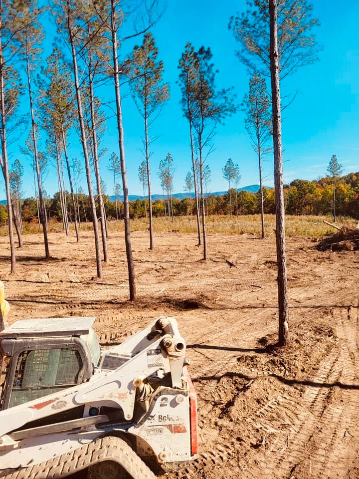  for Mountain Land Services LLC. in Oneida, TN