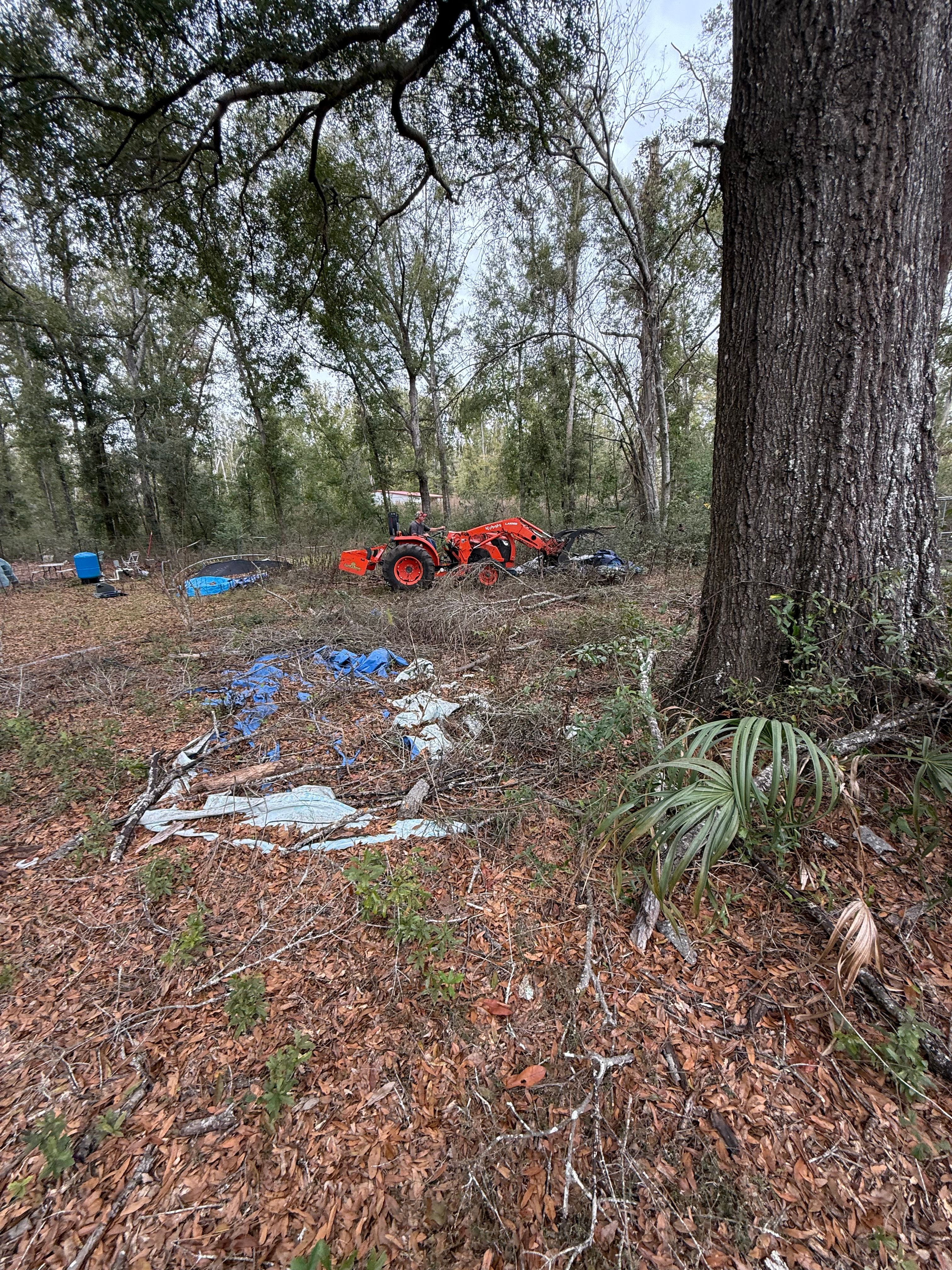  for Warners Tree Solutions in Live Oak, FL