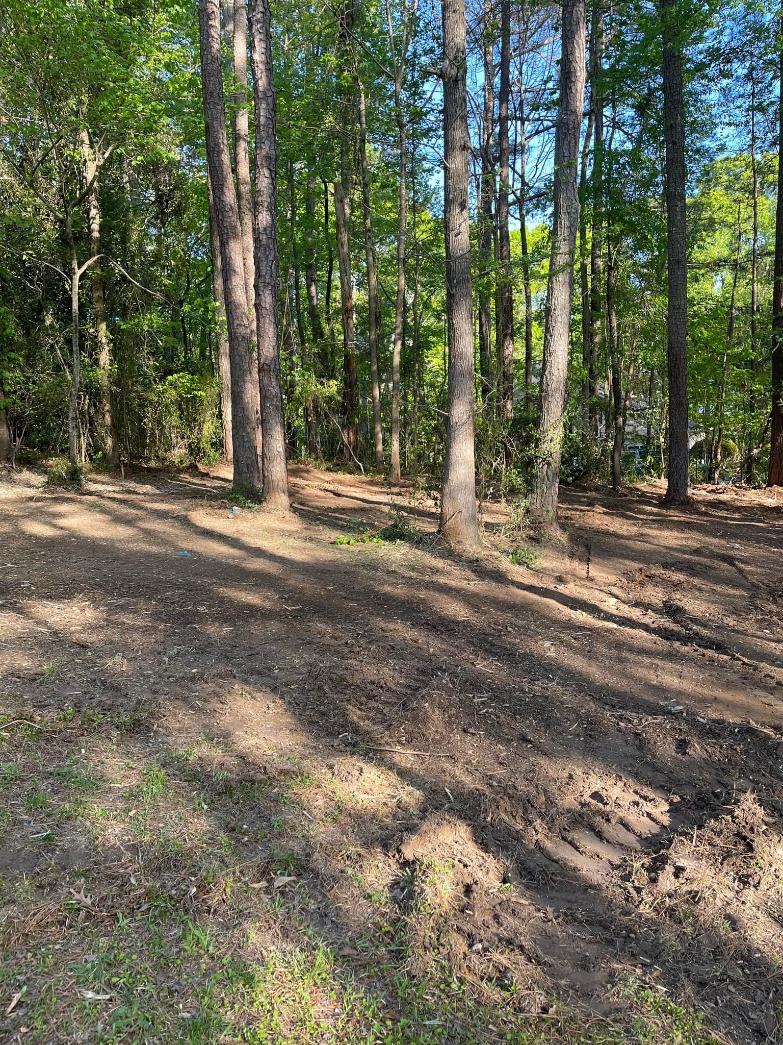 Land Clearing for G&H Forestry Mulching and Land Services in Fayetteville, GA